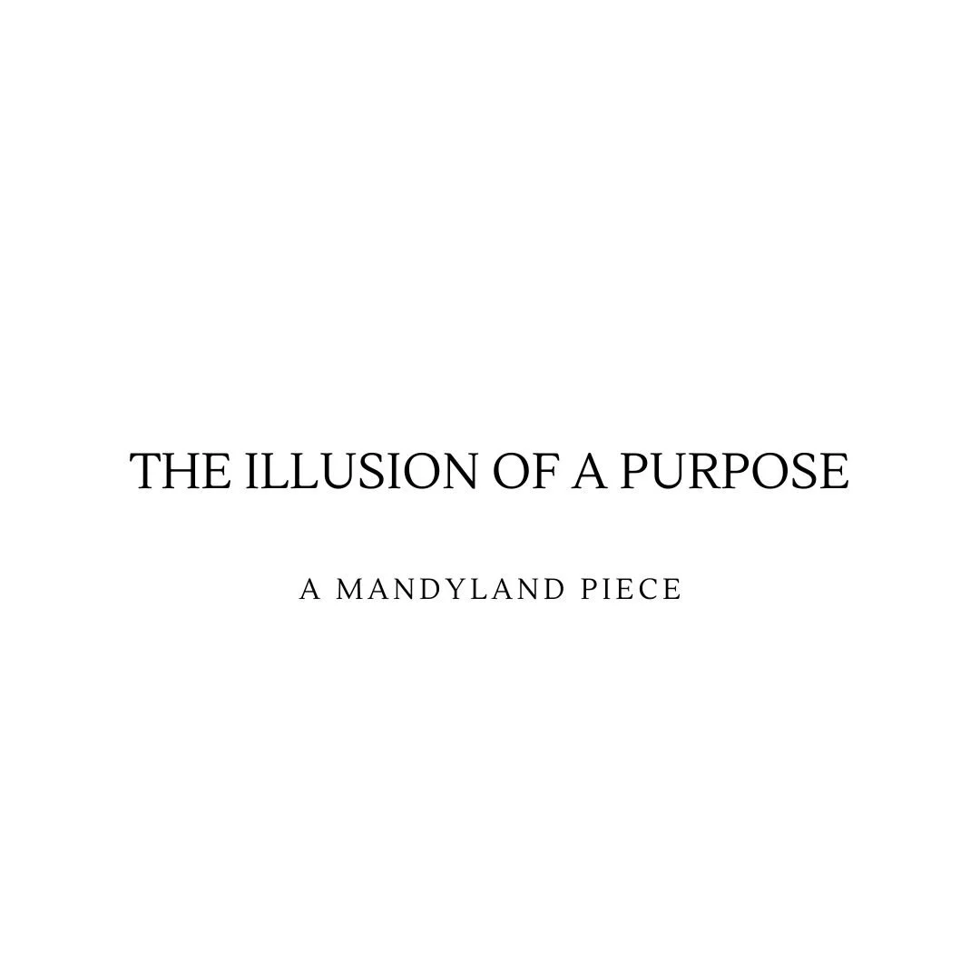 The Illusion Of A Purpose (An Essay)