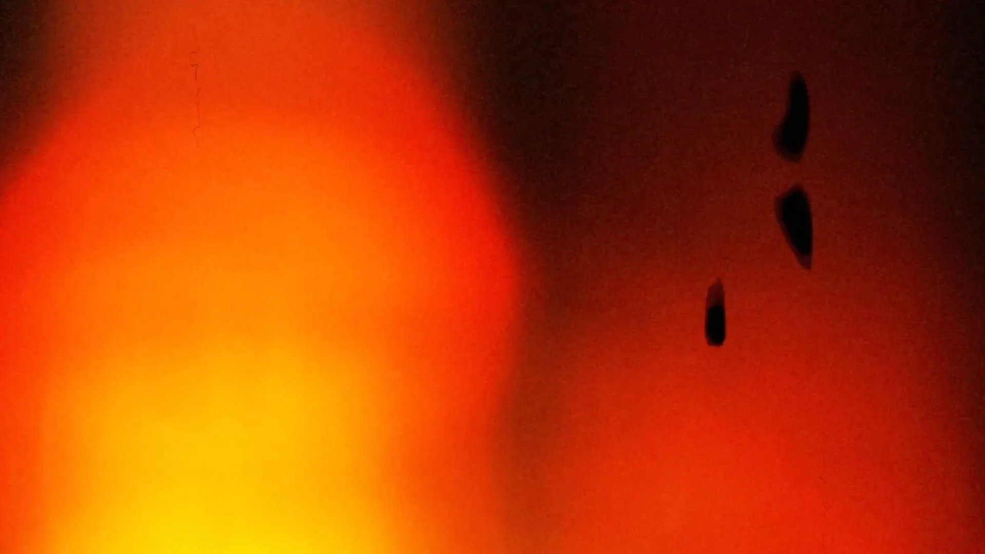 There Are No Victims (One Minute Clip)