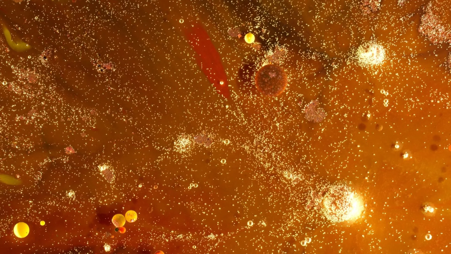 What's Most Alive (One Minute Clip)