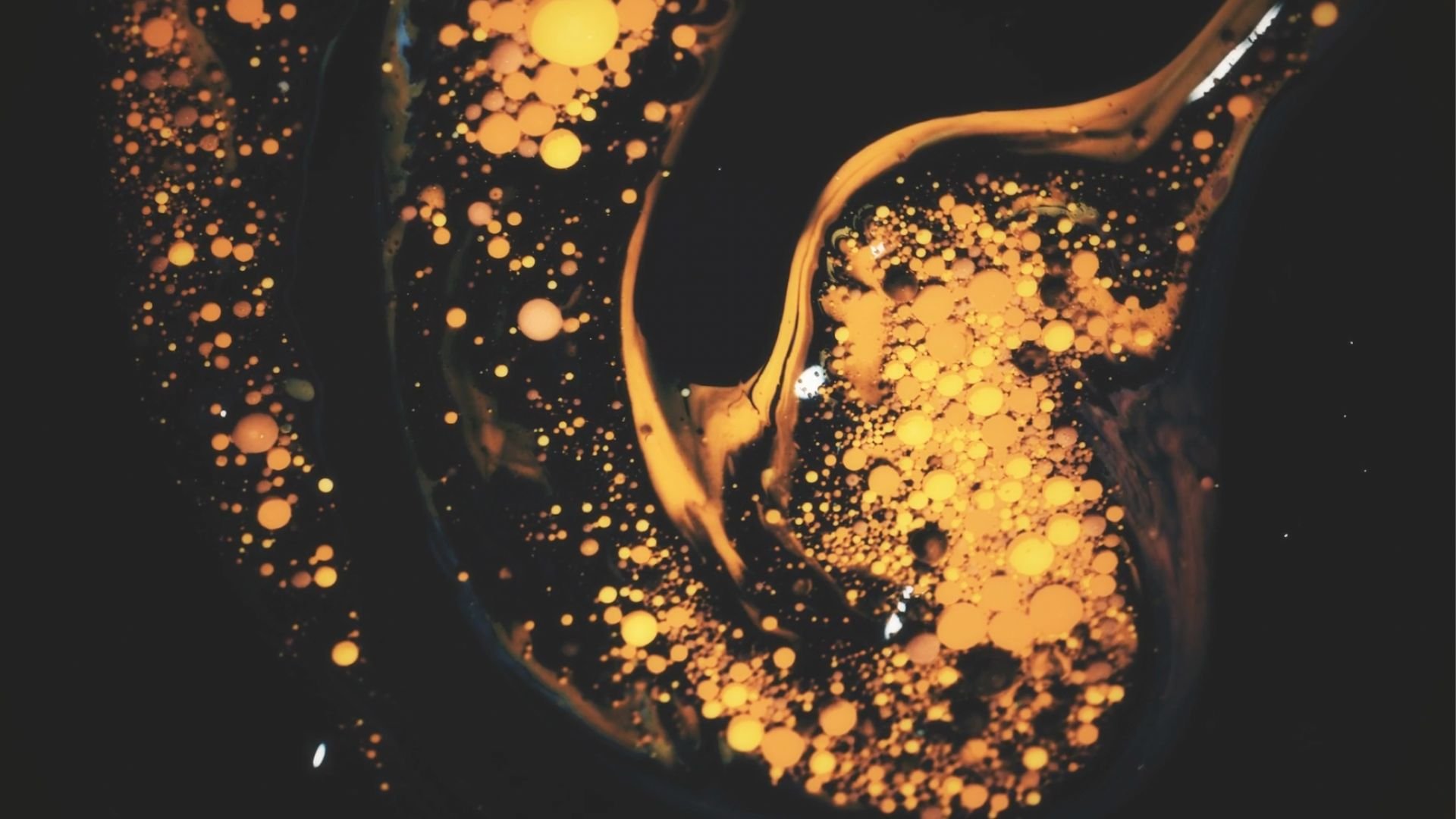 Golden Shit (One Minute Clip)