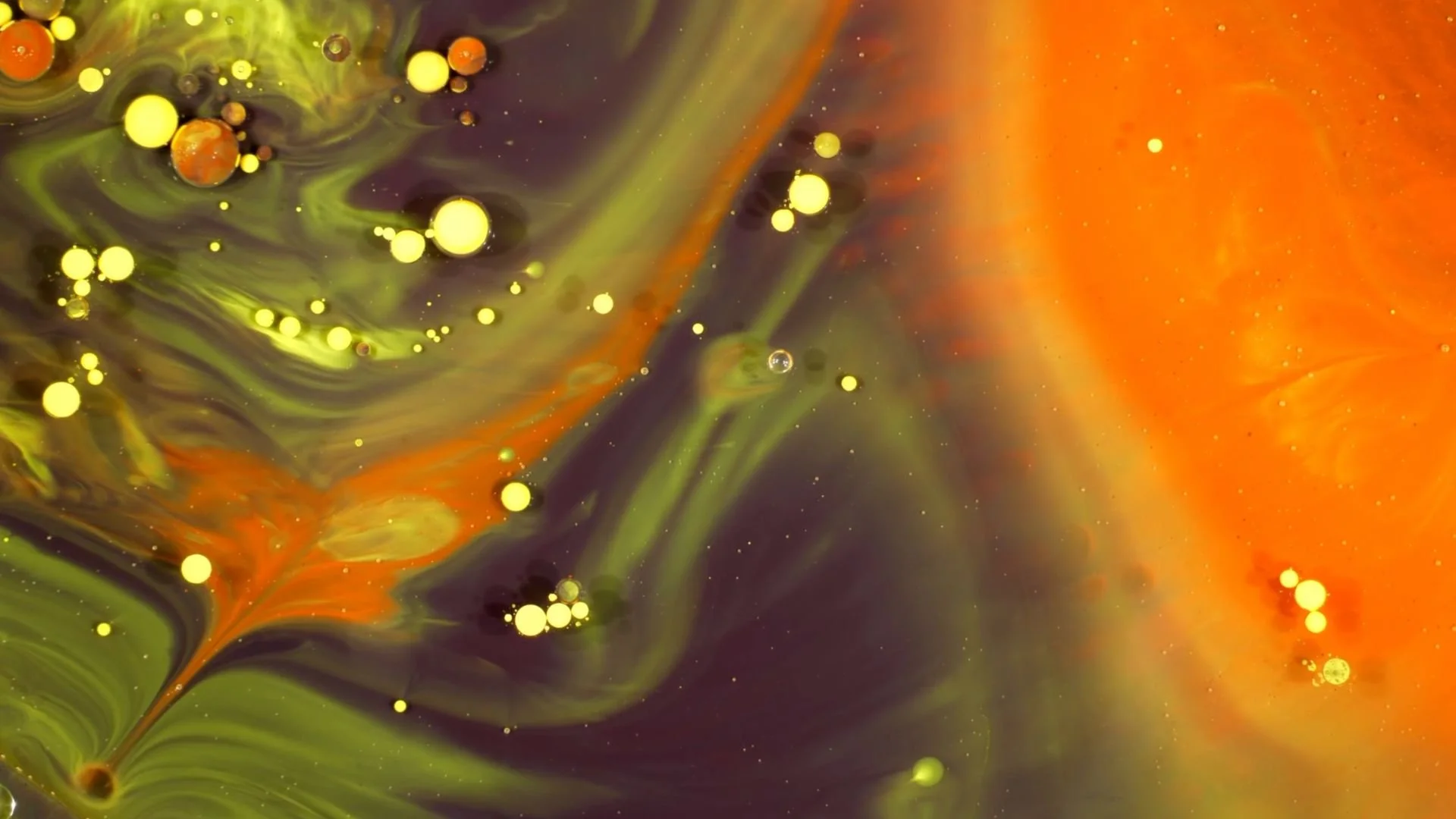 No Hidden Truths (One Minute Clip)