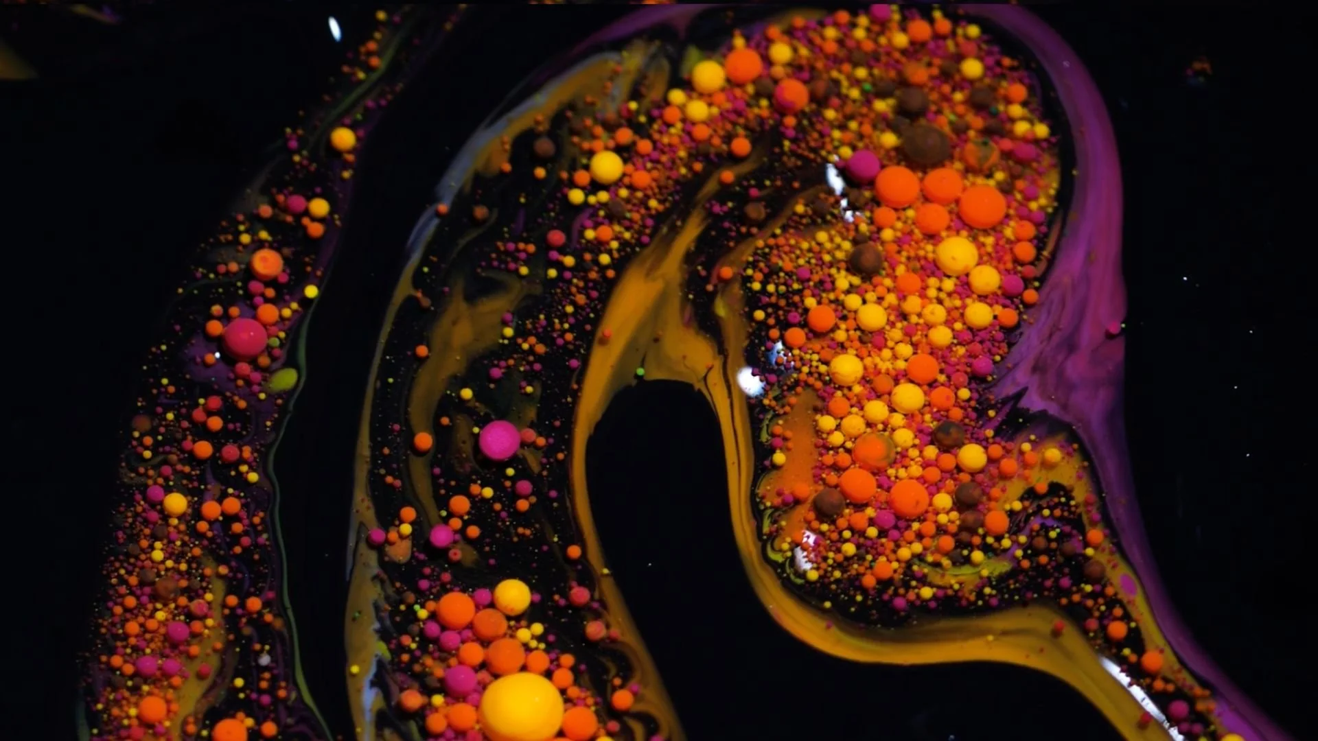 The Illness Loop (One Minute Clip)