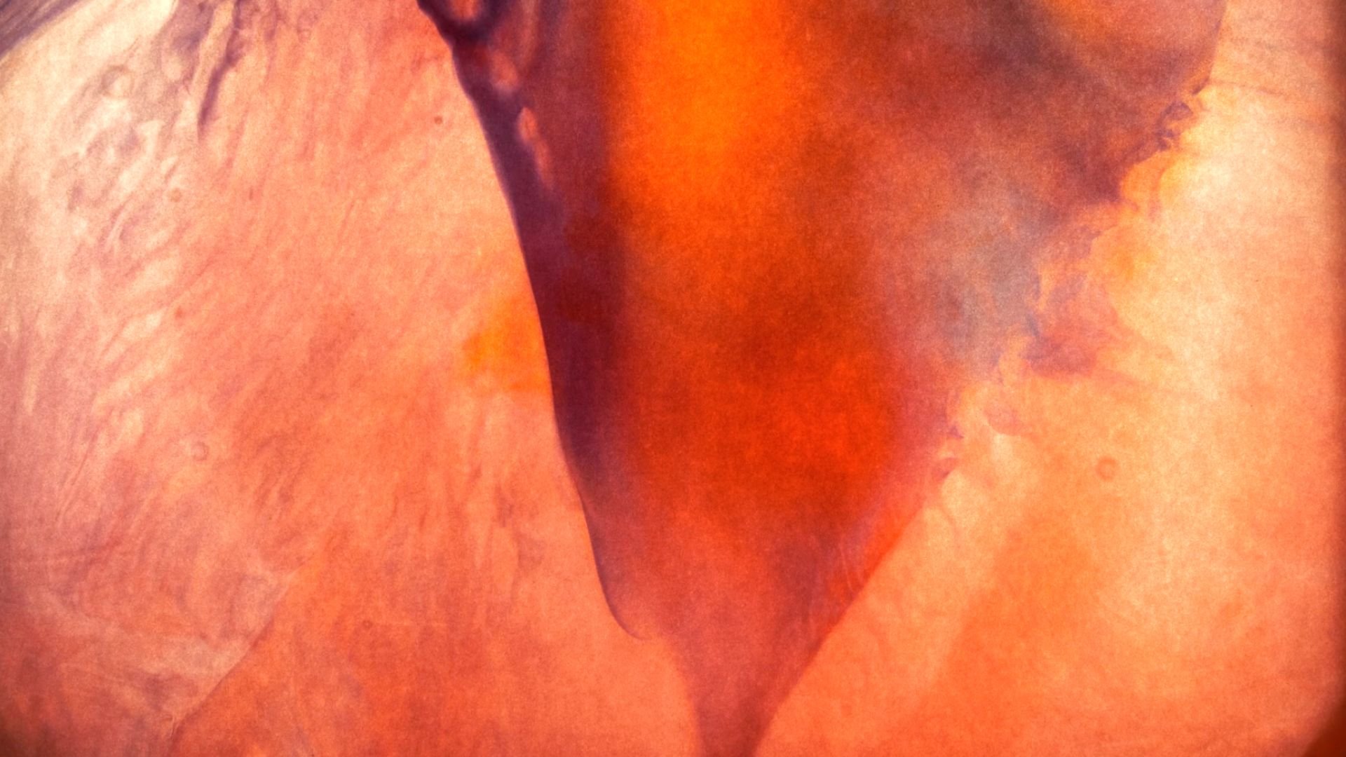 Beyond Penetration (One Minute Clip)