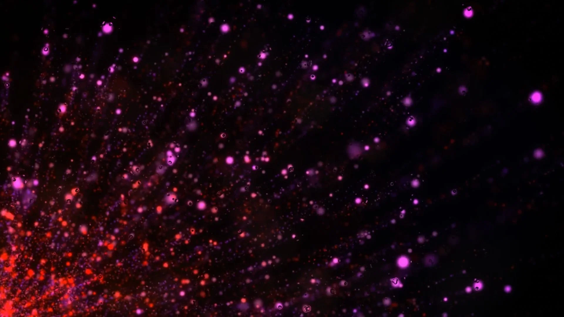 Being The Living Truth (One Minute Clip)