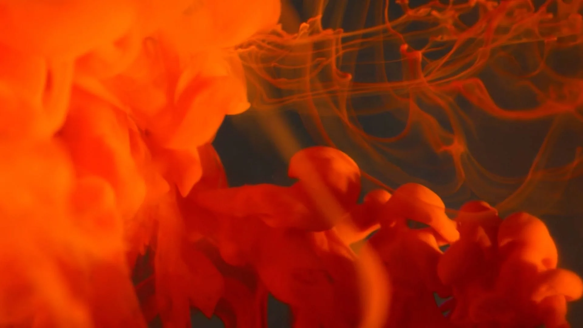 Codependent Shit (One Minute Clip)