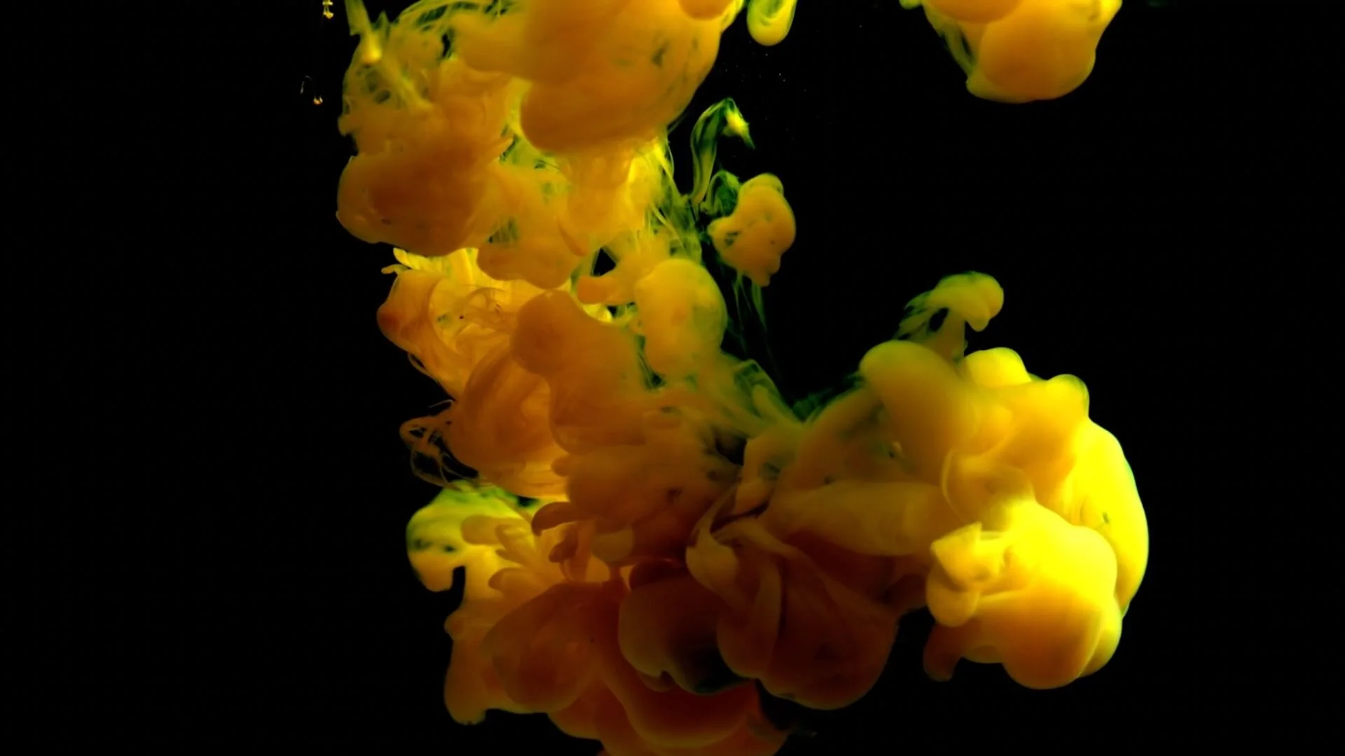 Sexual Performance Shit (One Minute Clip)