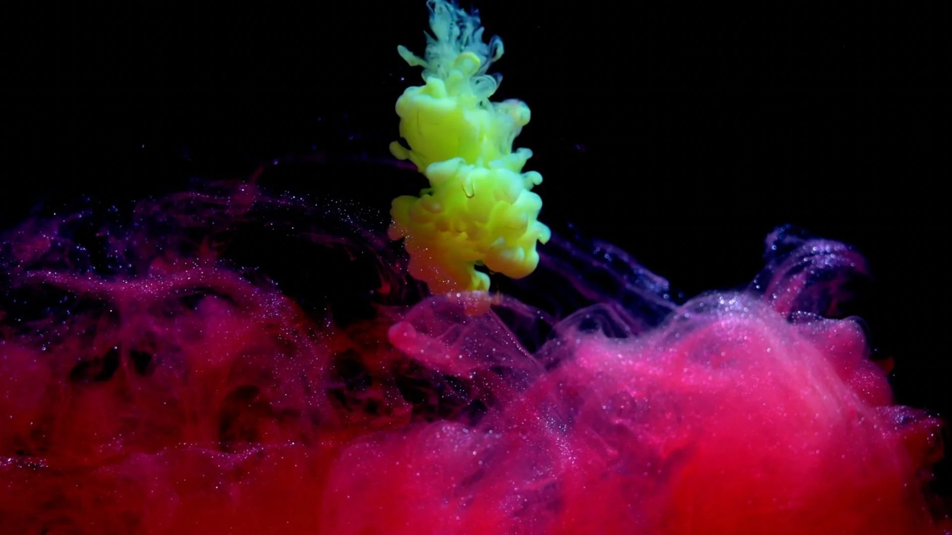 Stop Focusing On Him (One Minute Clip)