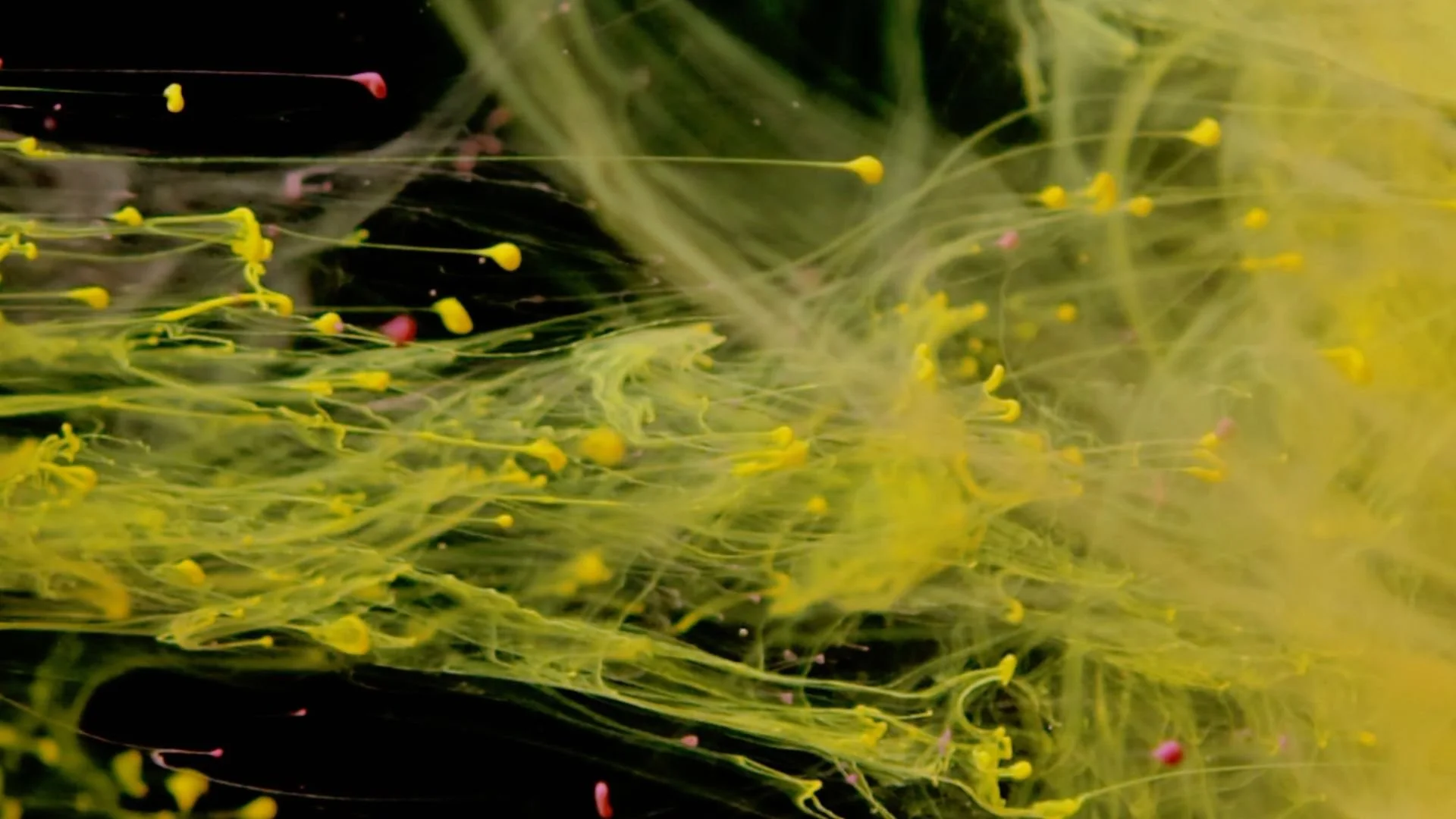 You Are The Piece (One Minute Clip)