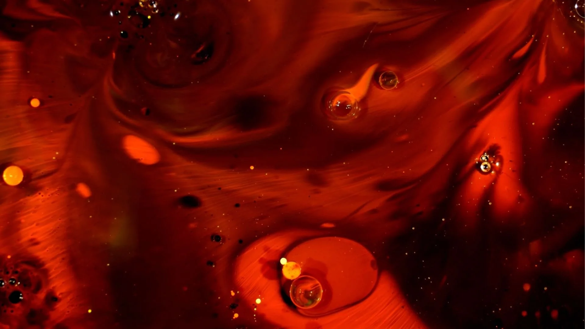 Let The Beast Run Wild (One Minute Clip)