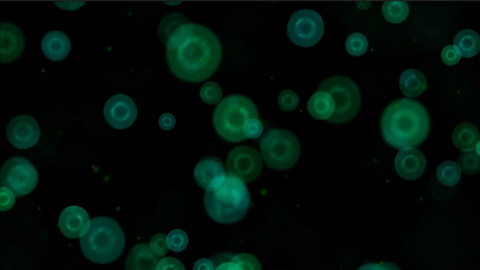 No Sex?  No Problem (One Minute Clip)