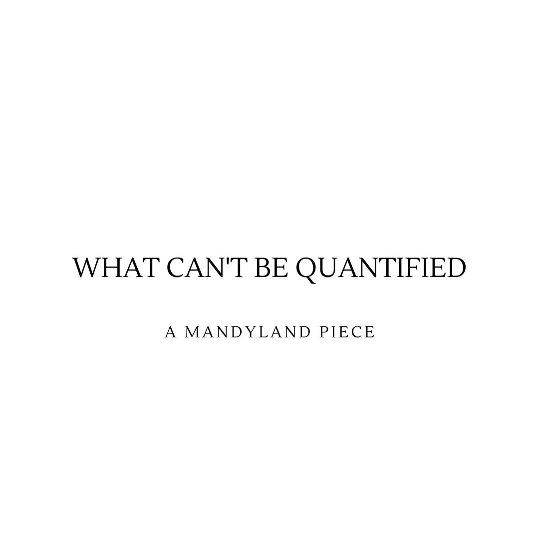 What Can't Be Quantified (An Essay)