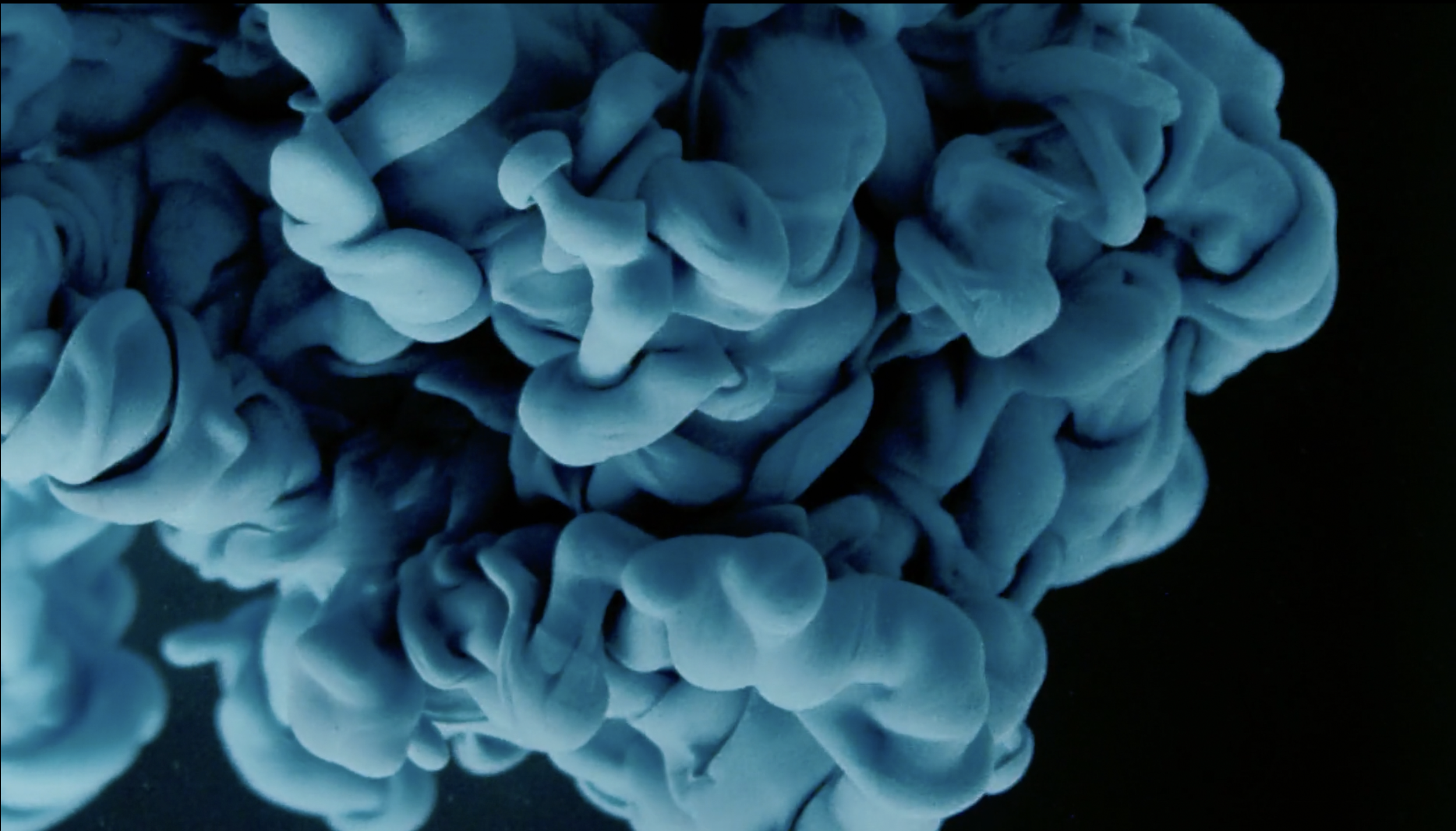 You've Got A Winner (One Minute Clip) 