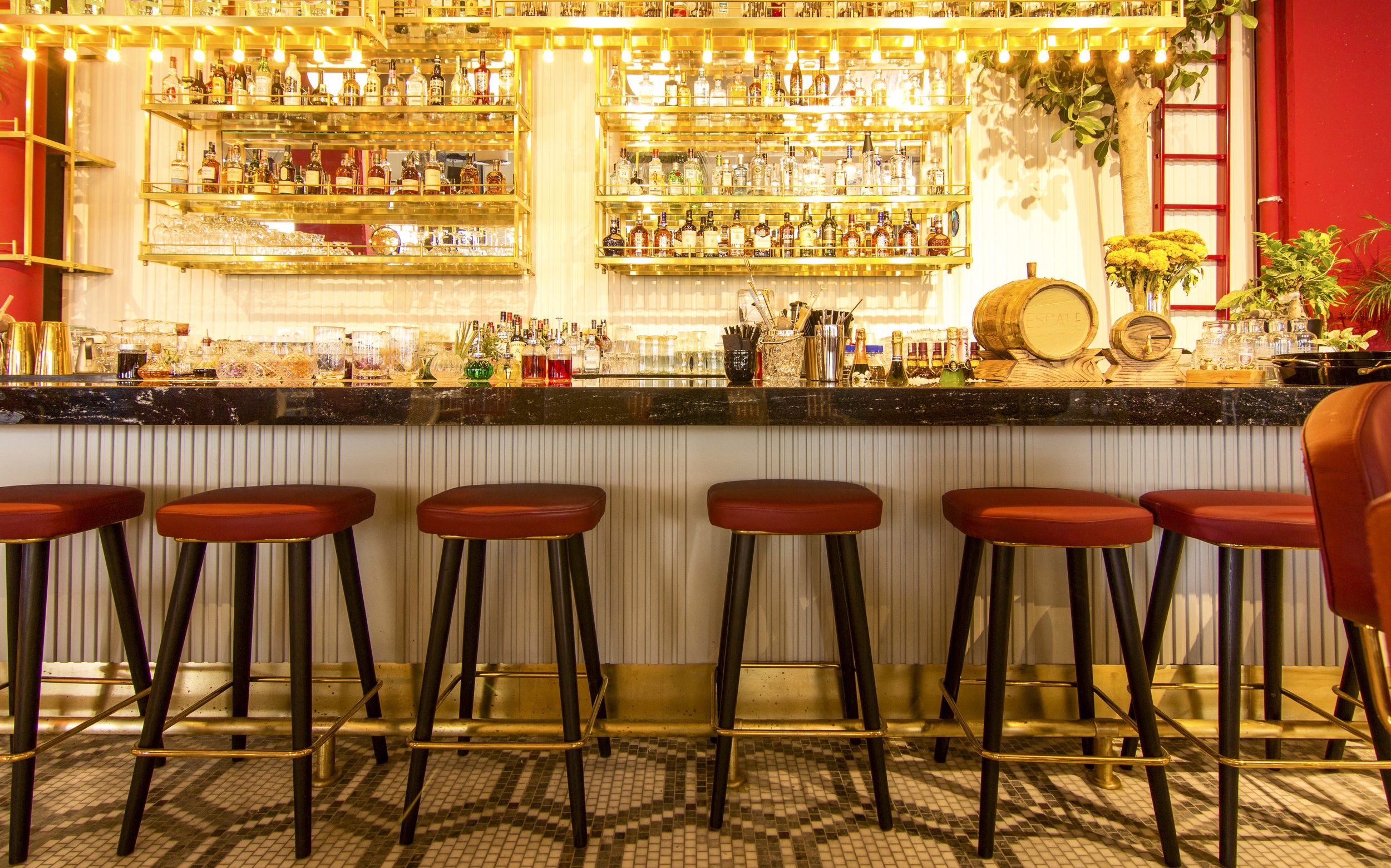 Stools lined up at a bar