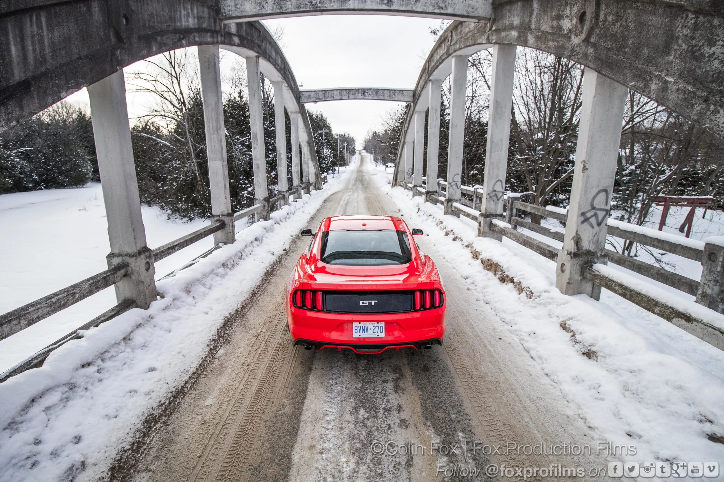 mustanggt-9191_16339936372_o.jpg