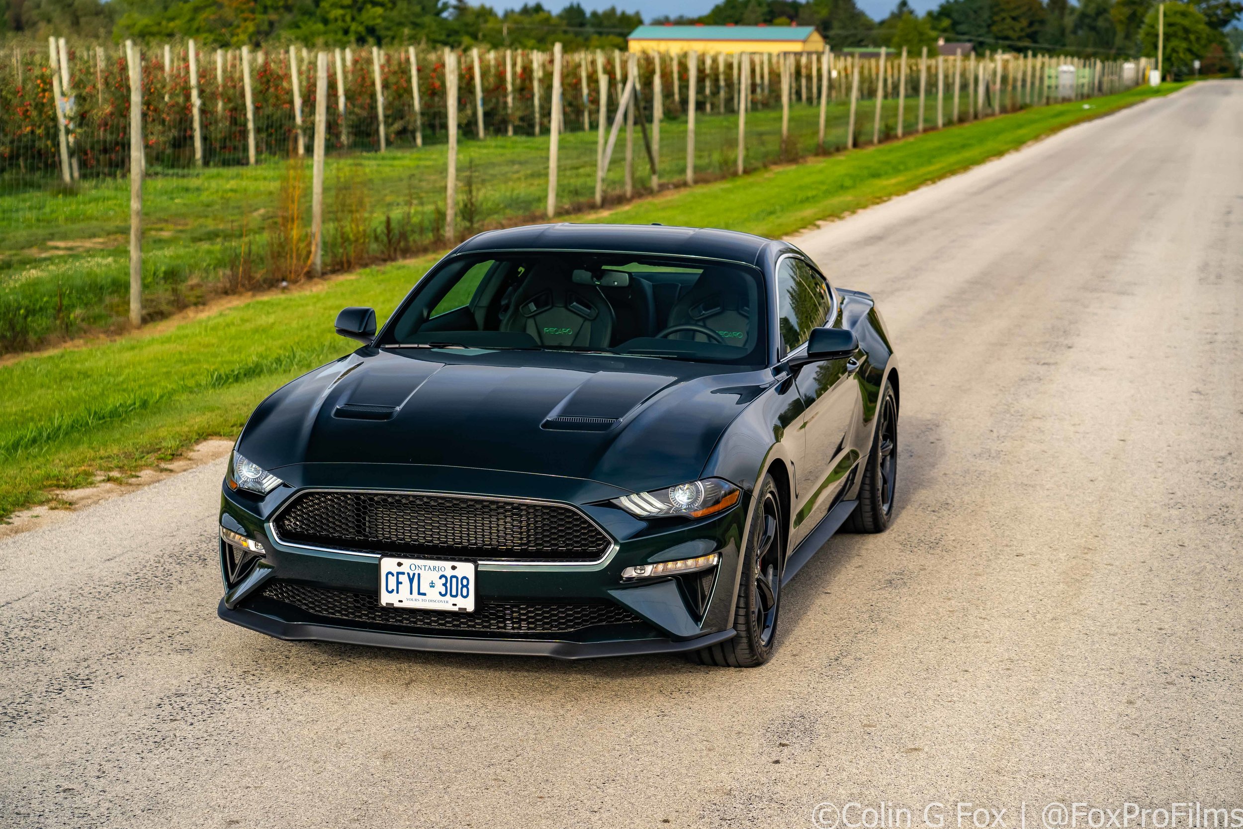 18.09-MustangBullitt-05735.jpg