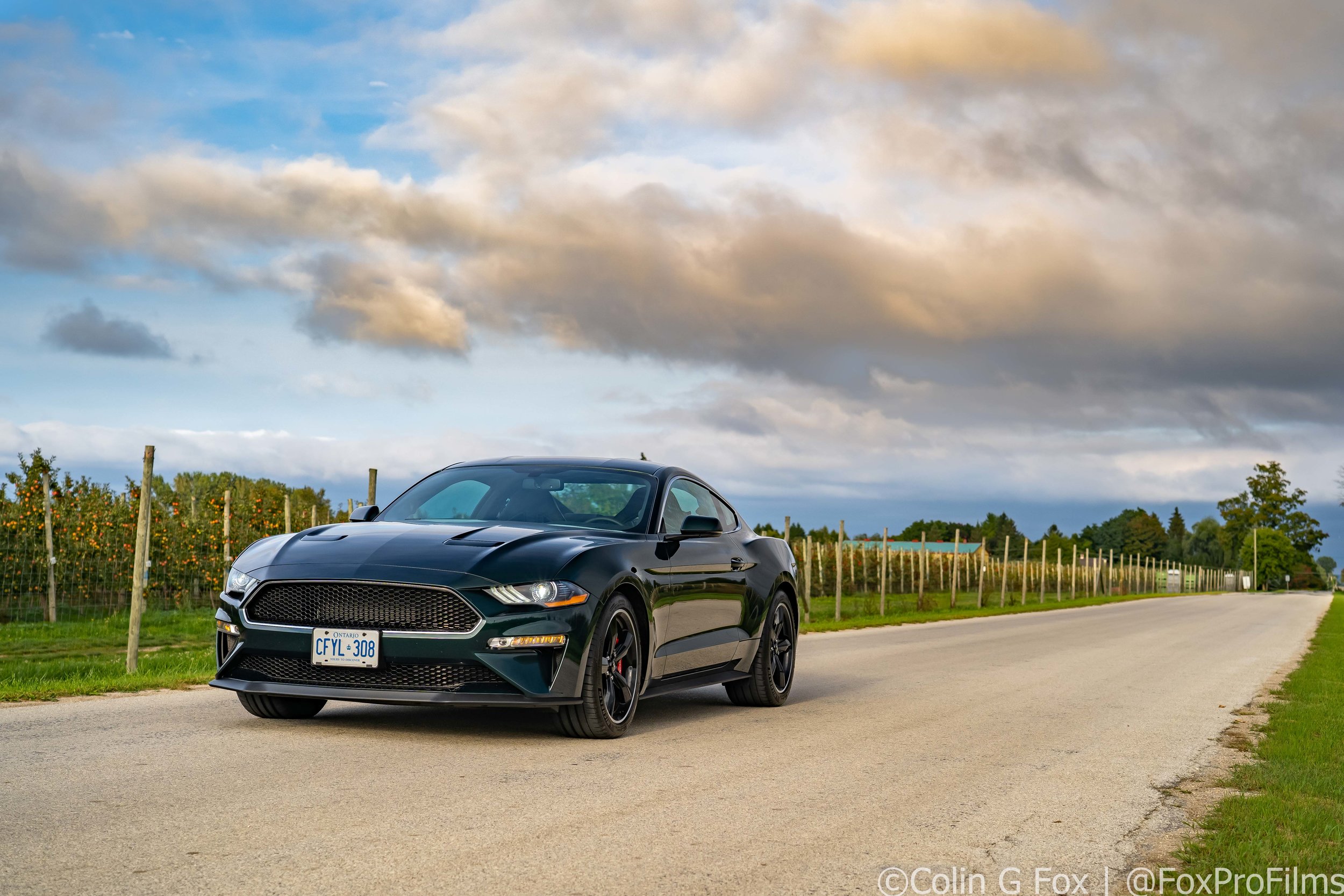 18.09-MustangBullitt-05744.jpg