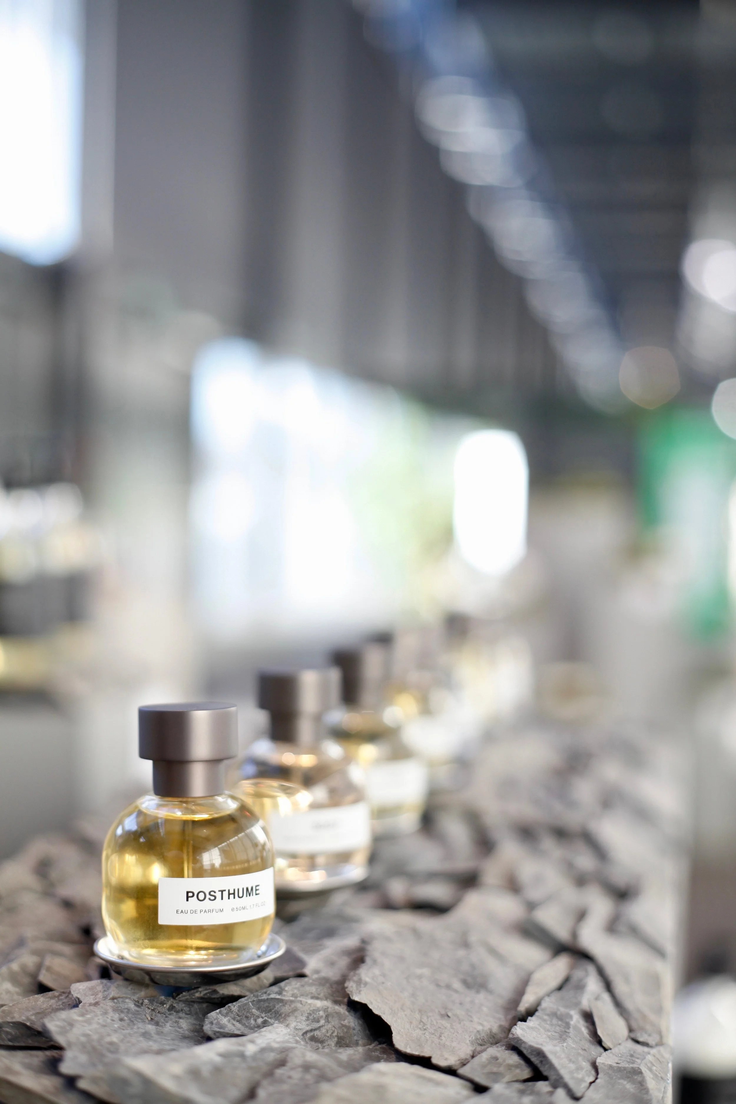 Son Venin_Bobby Petersen.jpeg