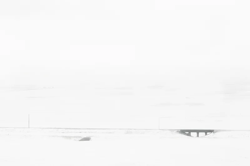 MaricoFayre_White5.jpg