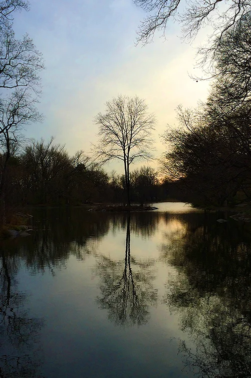 reflection_apr14_0050_sm2.jpg