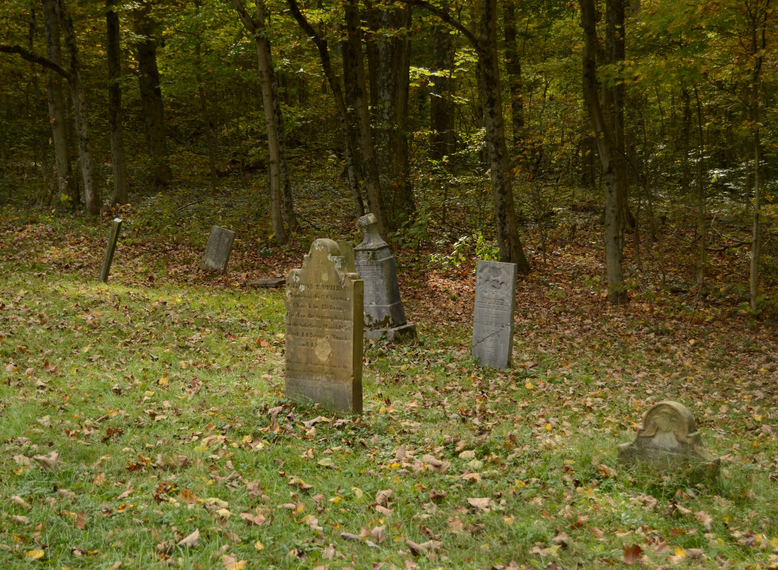 6: Sickness &amp; Health