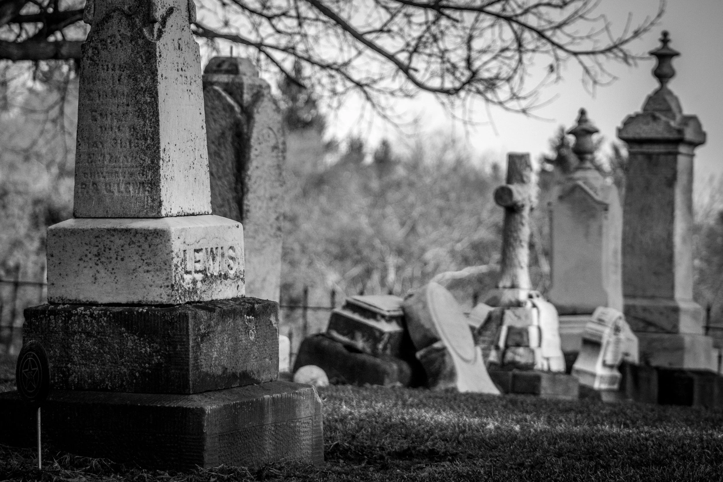 S1•E14: A Curious Collection of Ghostly Tales