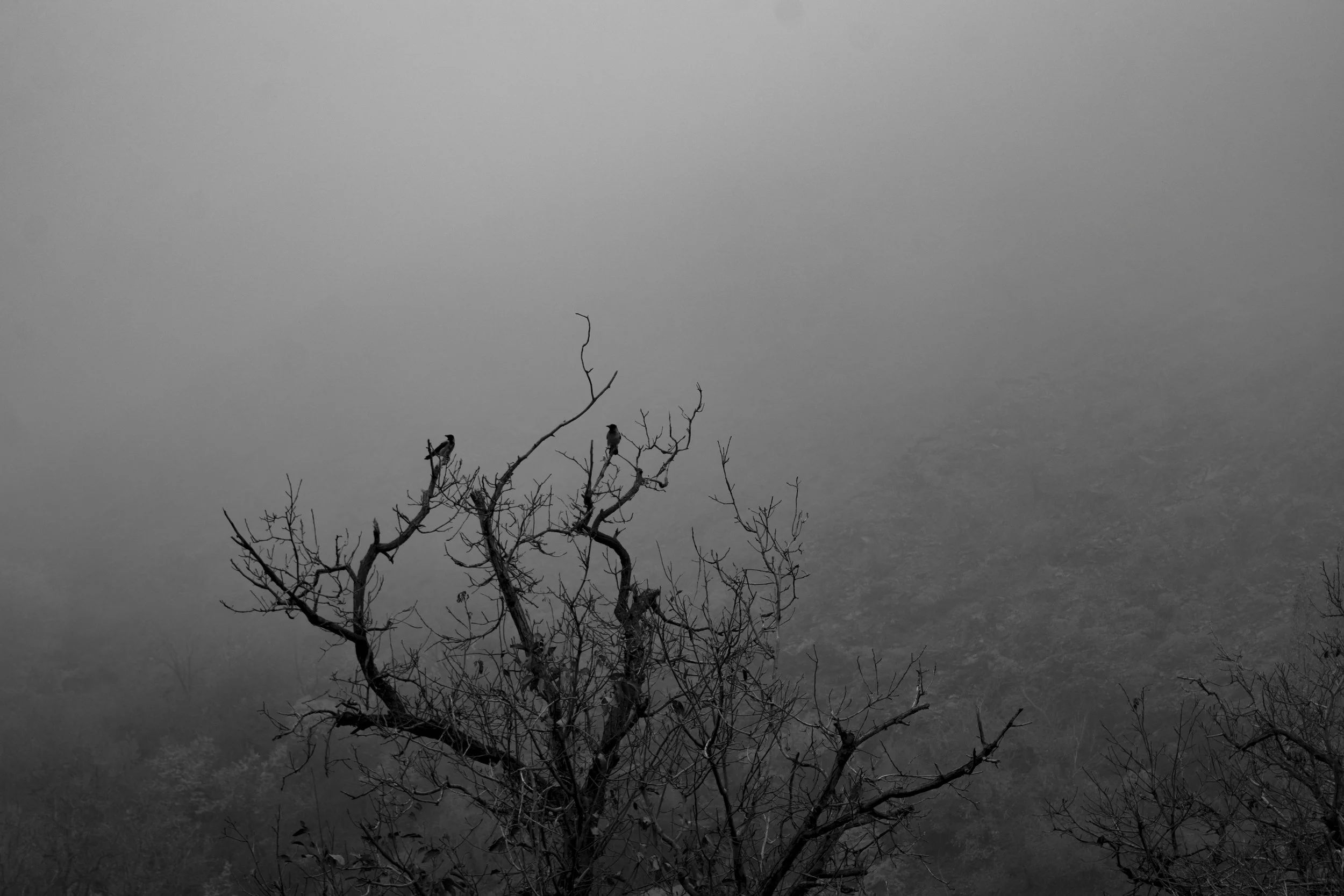 S1•E20: Mortal Sacrifice, 1665