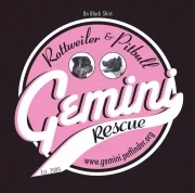 l_gemini-rottweiler-and-pitbull-rescue-inc-5219-1447138134.6915.jpg
