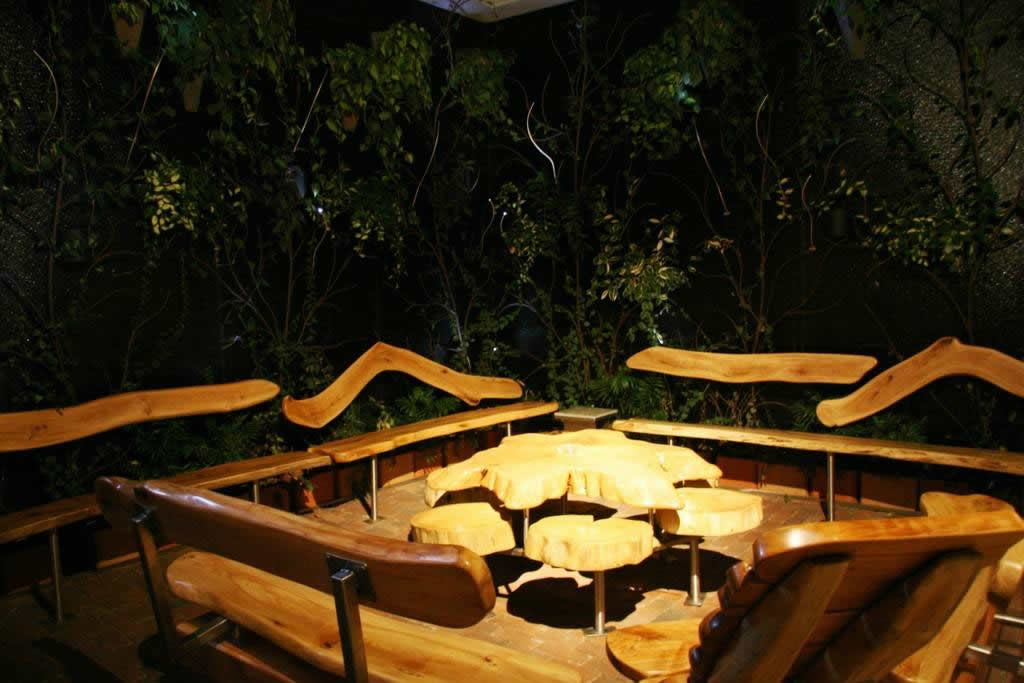 OUR LIVING ATRIUM WITH CUSTOM RESCUED WOOD BENCHES.