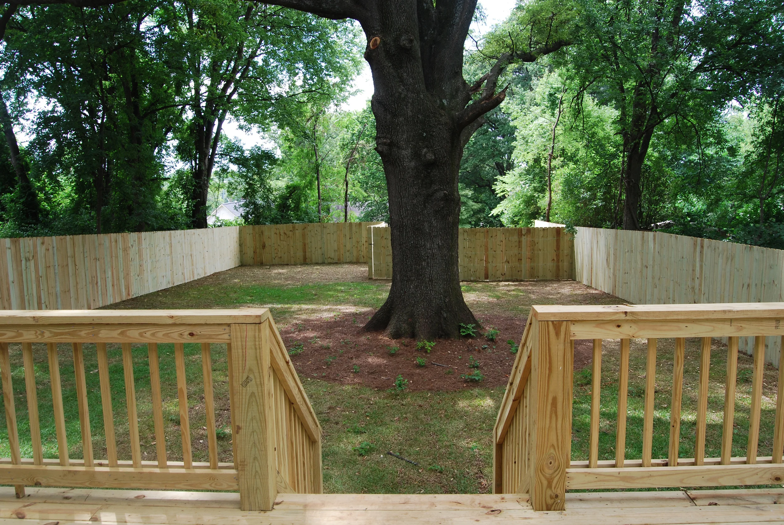 yard.jpg