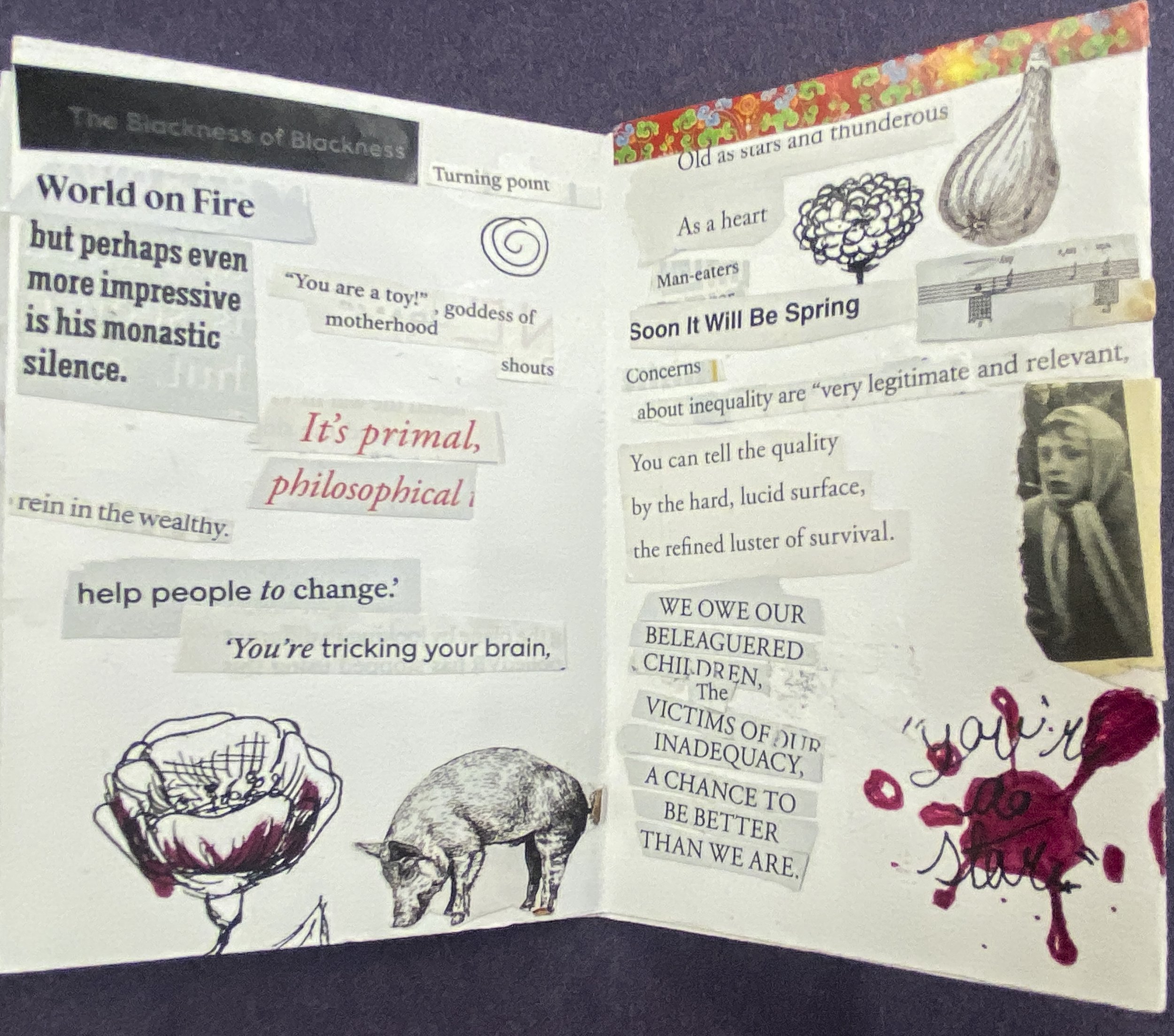 ACSDzine-4.jpg