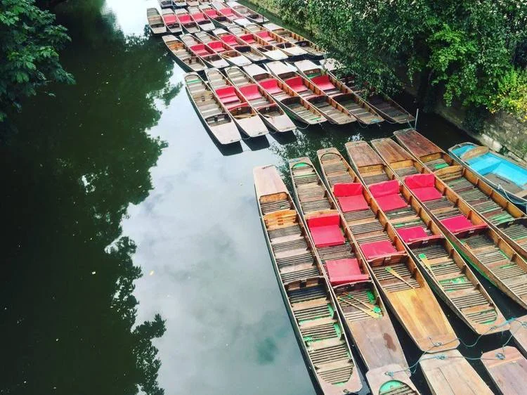 My Midsummer Dream at Oxford- Week 3