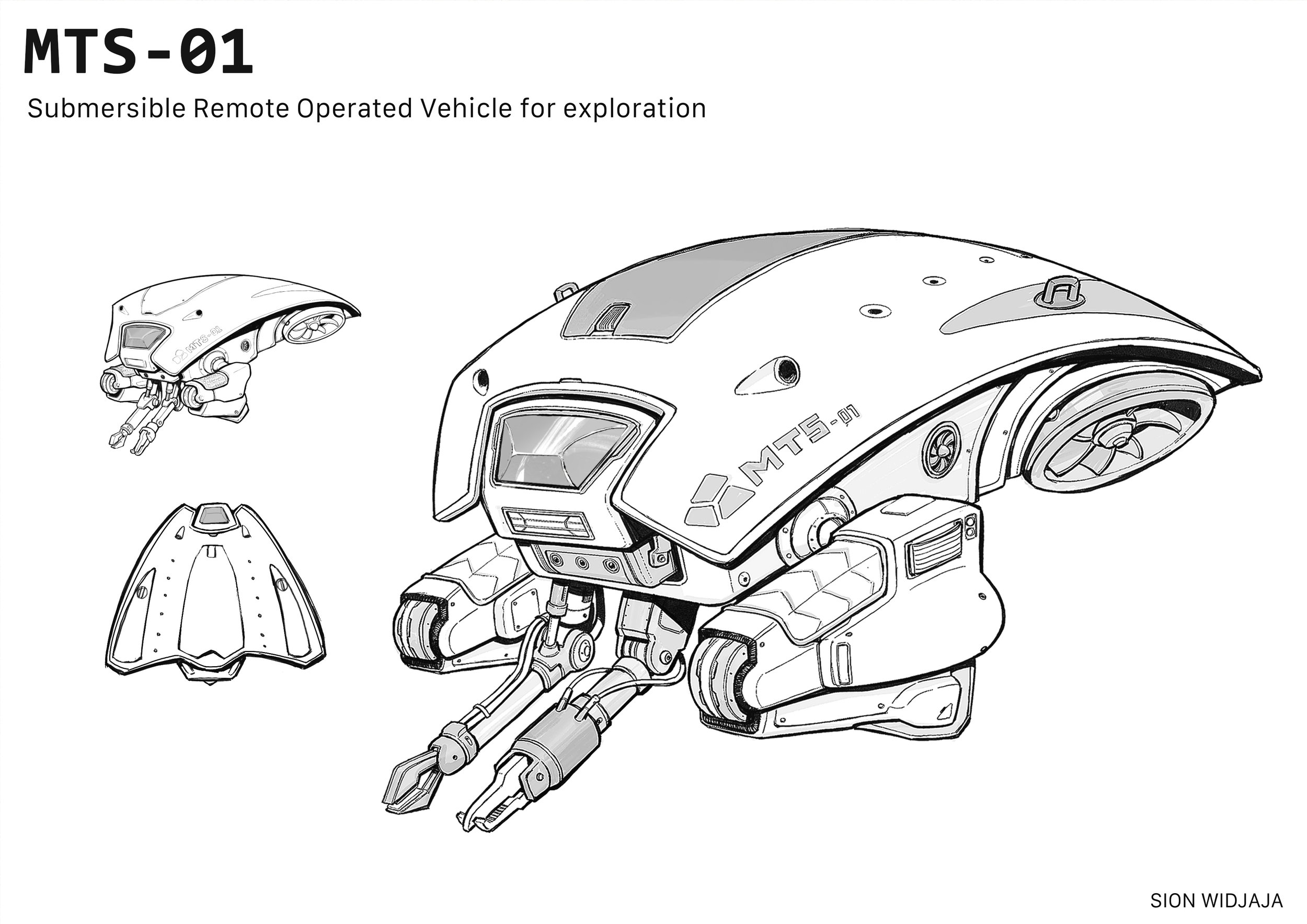 Remote operated Submersible