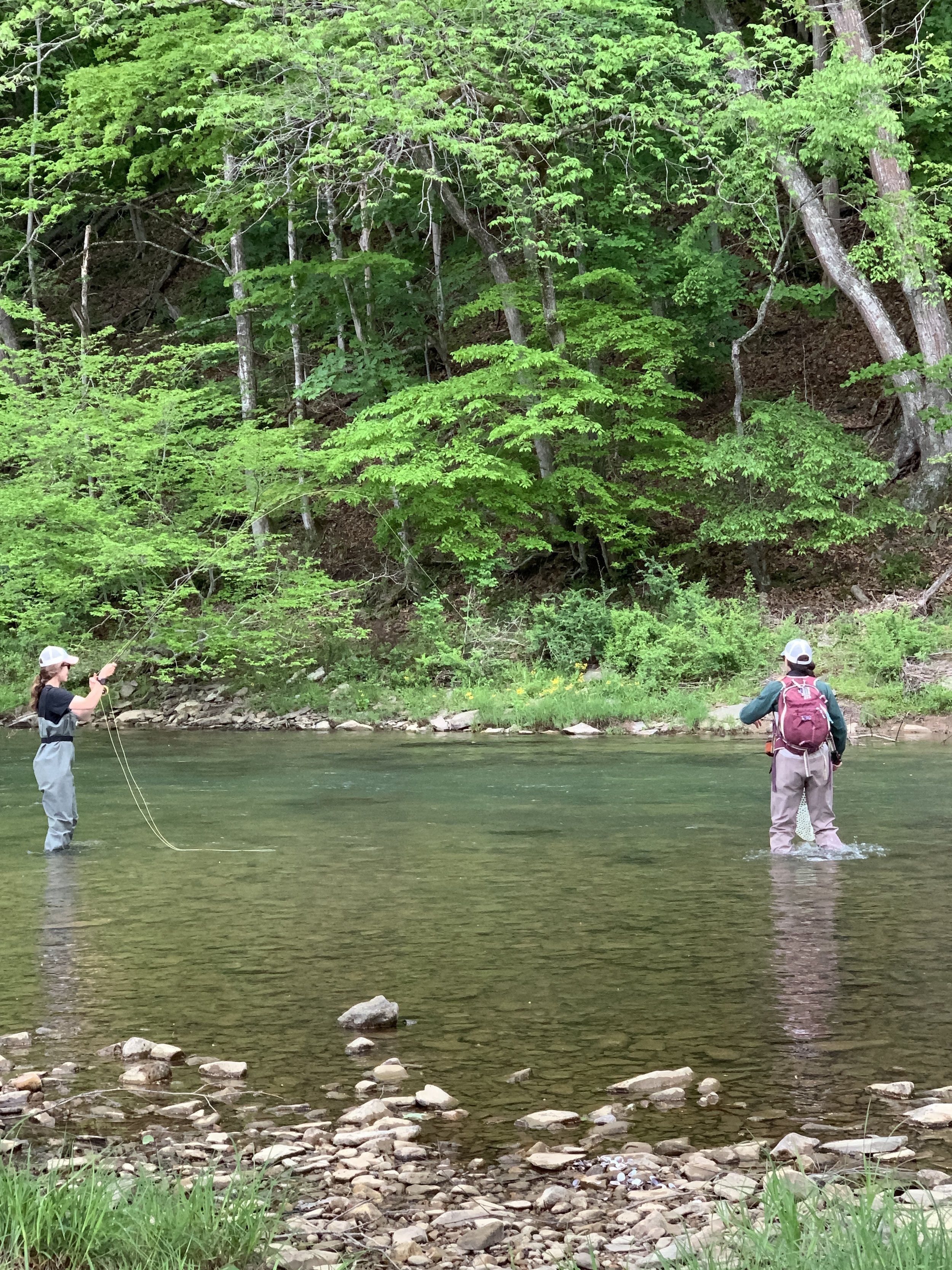 WV Fly Fishing — Knapp's Creek Trout Lodge WV Fishing Trips