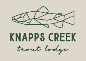 KCTLTanTeeDetail.png
