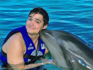 dolphin_jd_003.jpg