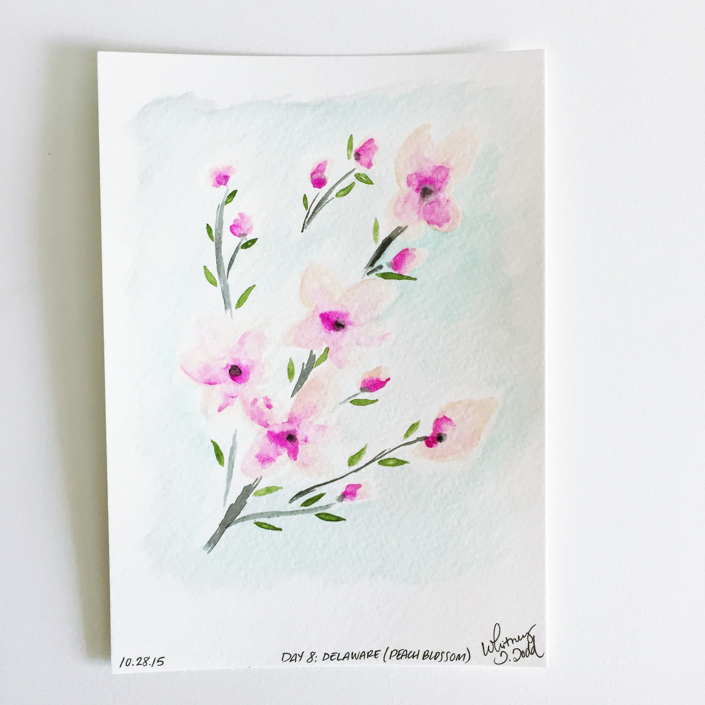 Day 8: Delaware - Peach Blossom // 50 Day State-themed Illustration and Design Challenge via Jitney's Journeys