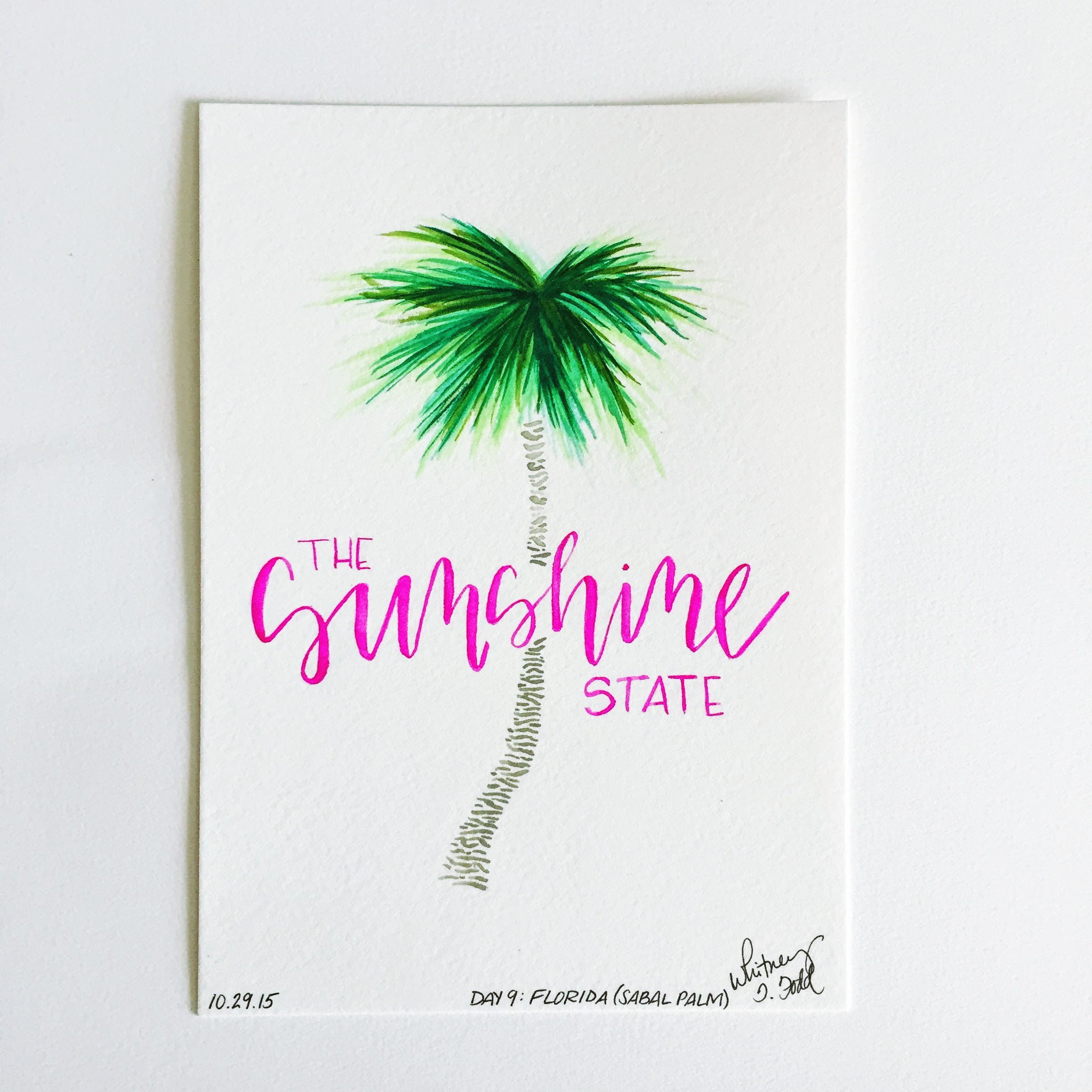 Day 9: Florida - The Sunshine State & Sabal Palm // 50 Day State-themed Illustration and Design Challenge via Jitney's Journeys