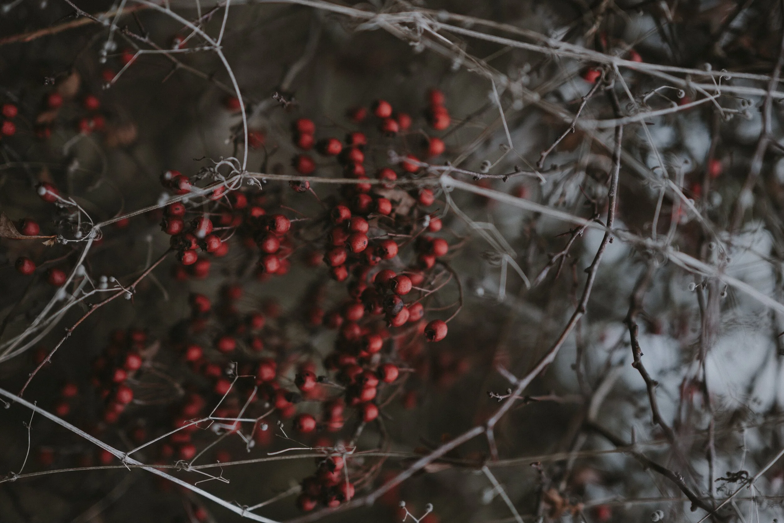 Photo by Annie Spratt on Unsplash