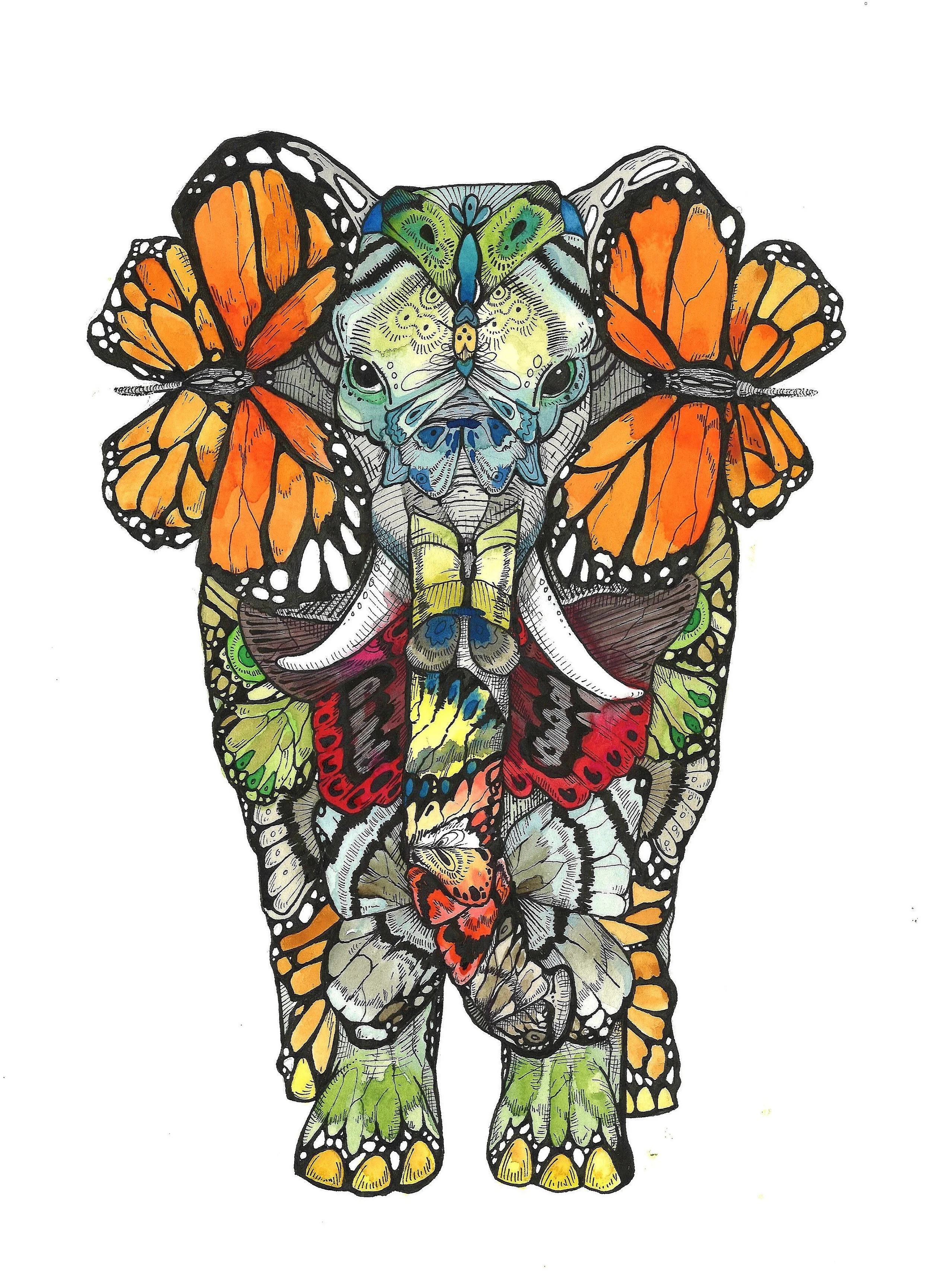 elephant.jpg