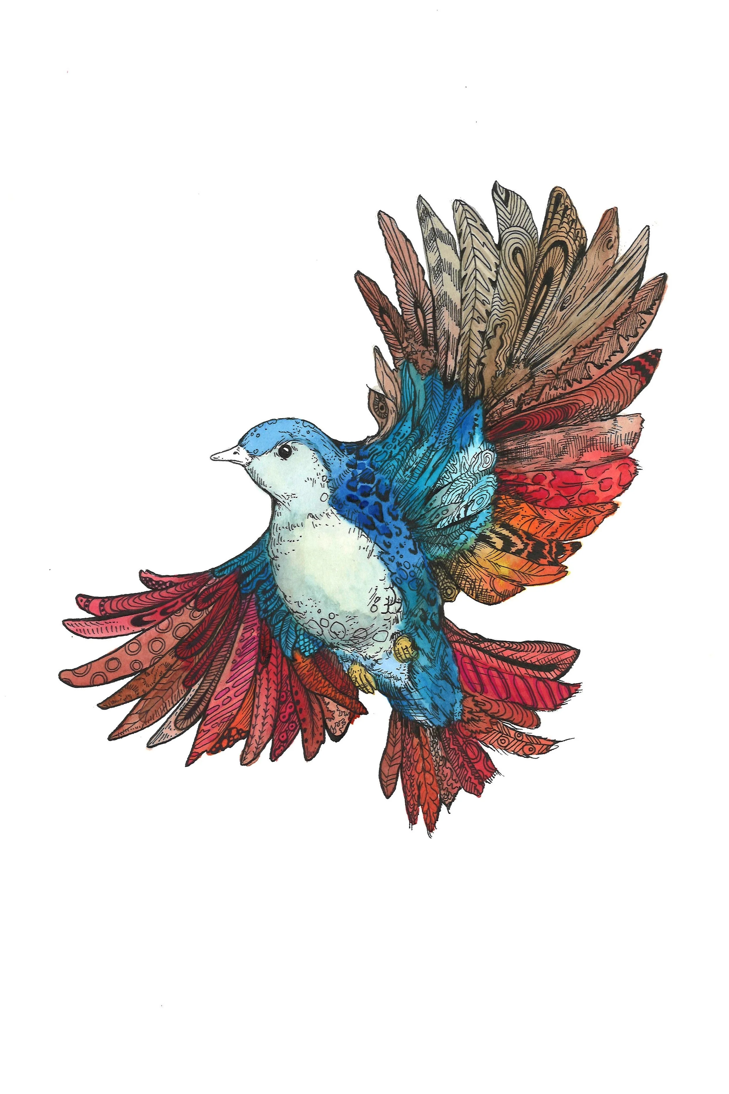 bird.jpg