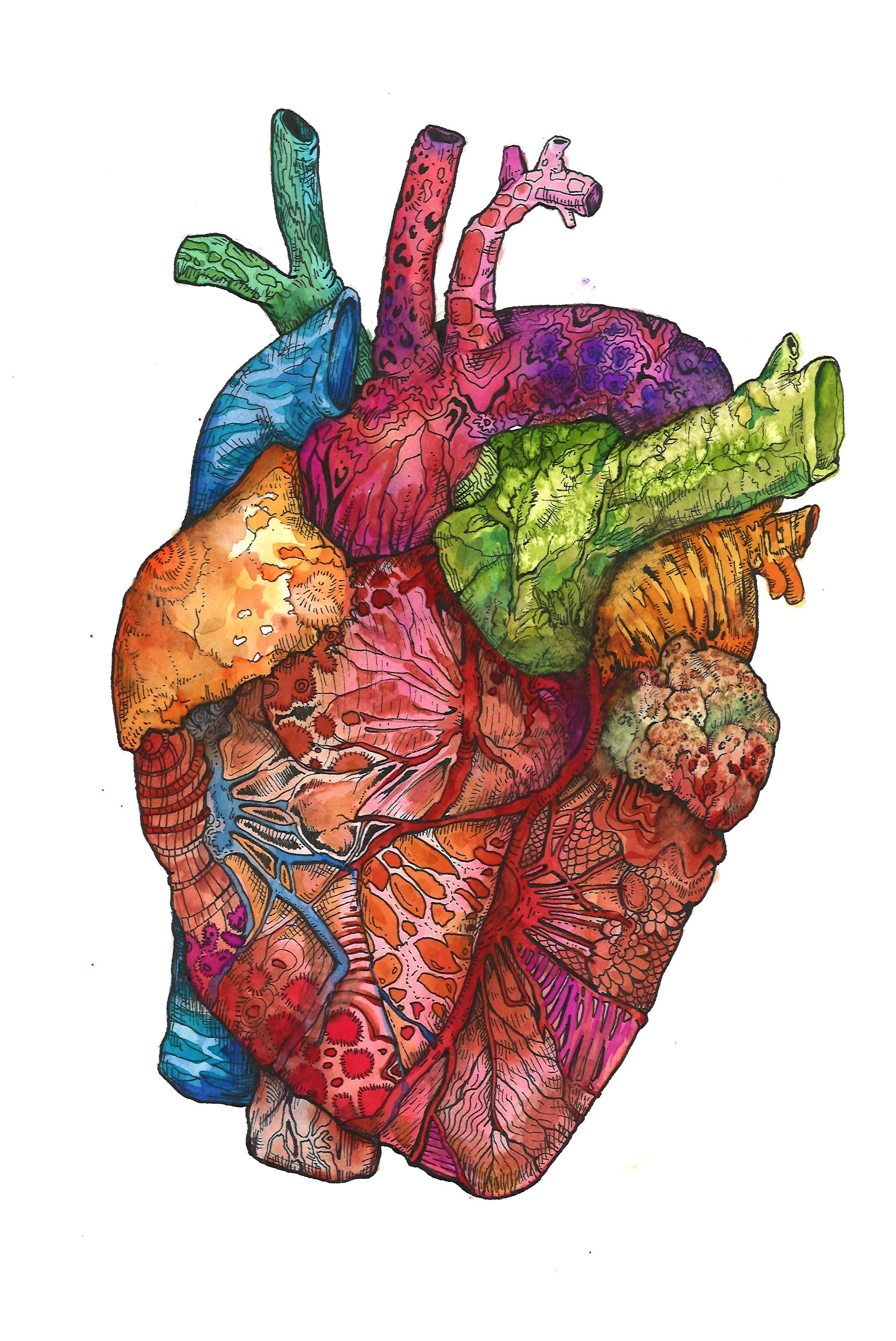 heart.jpg