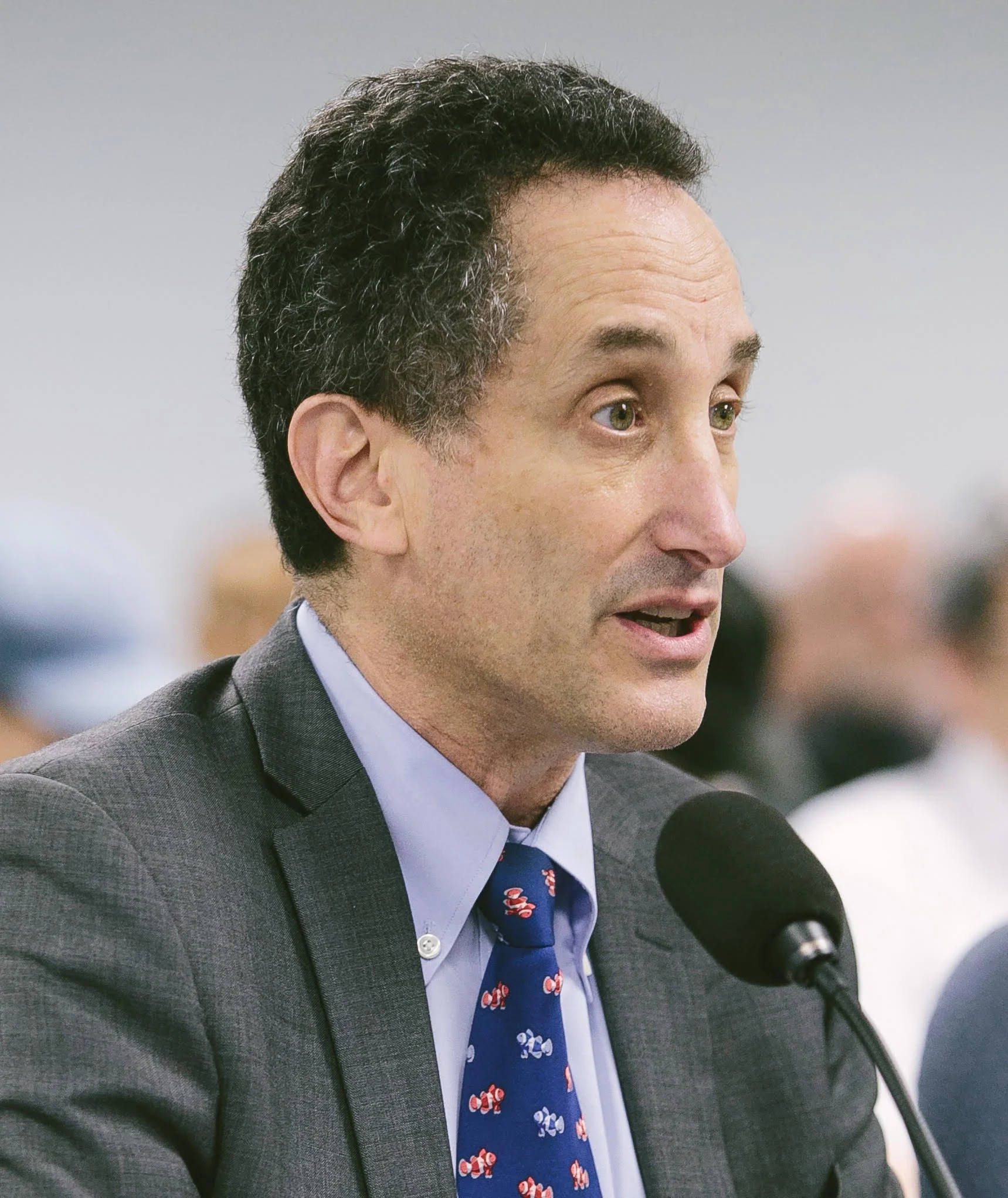 DNH Headshot - NYS hearing.jpg