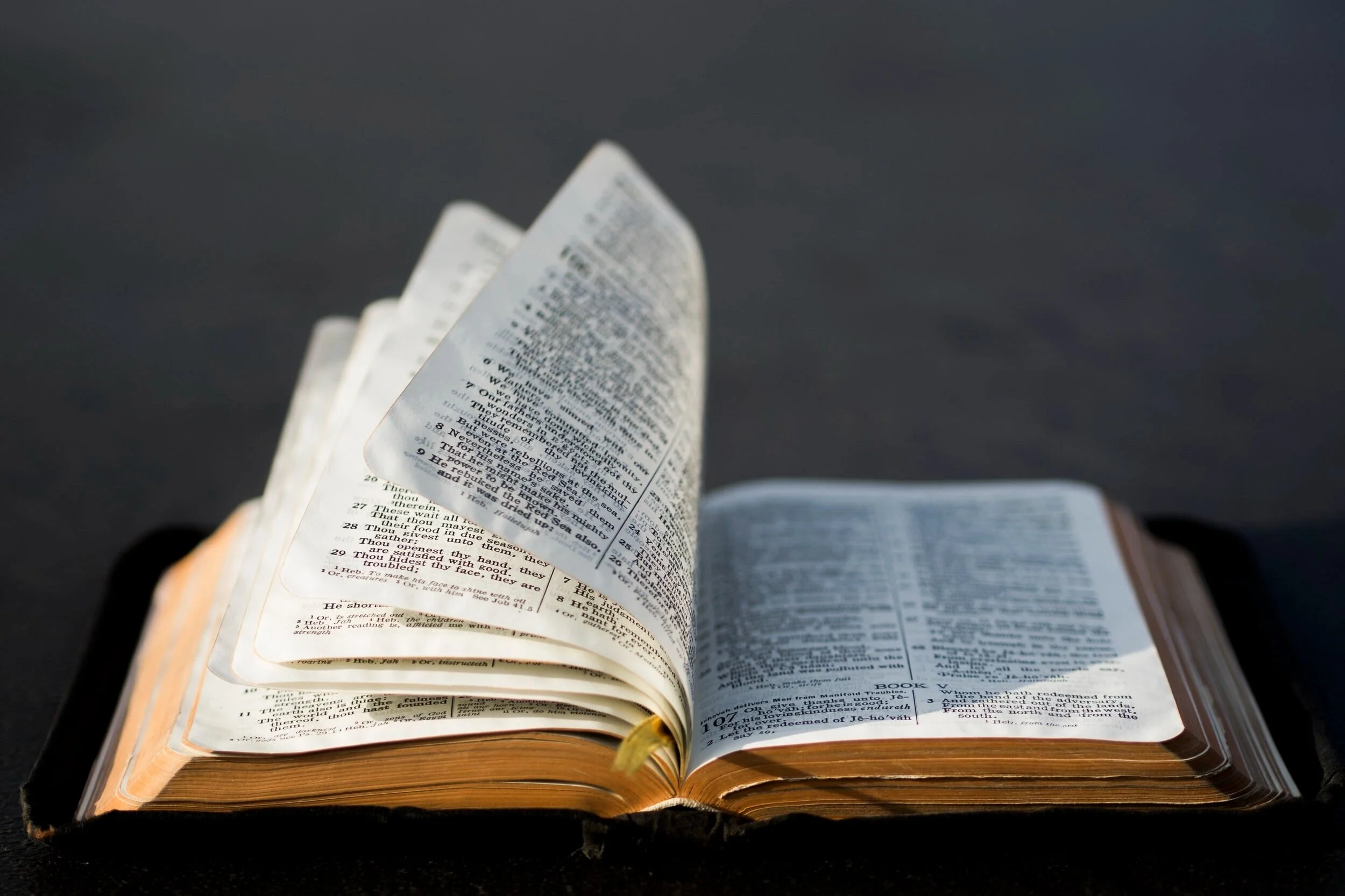 Monday Morning Bible Study