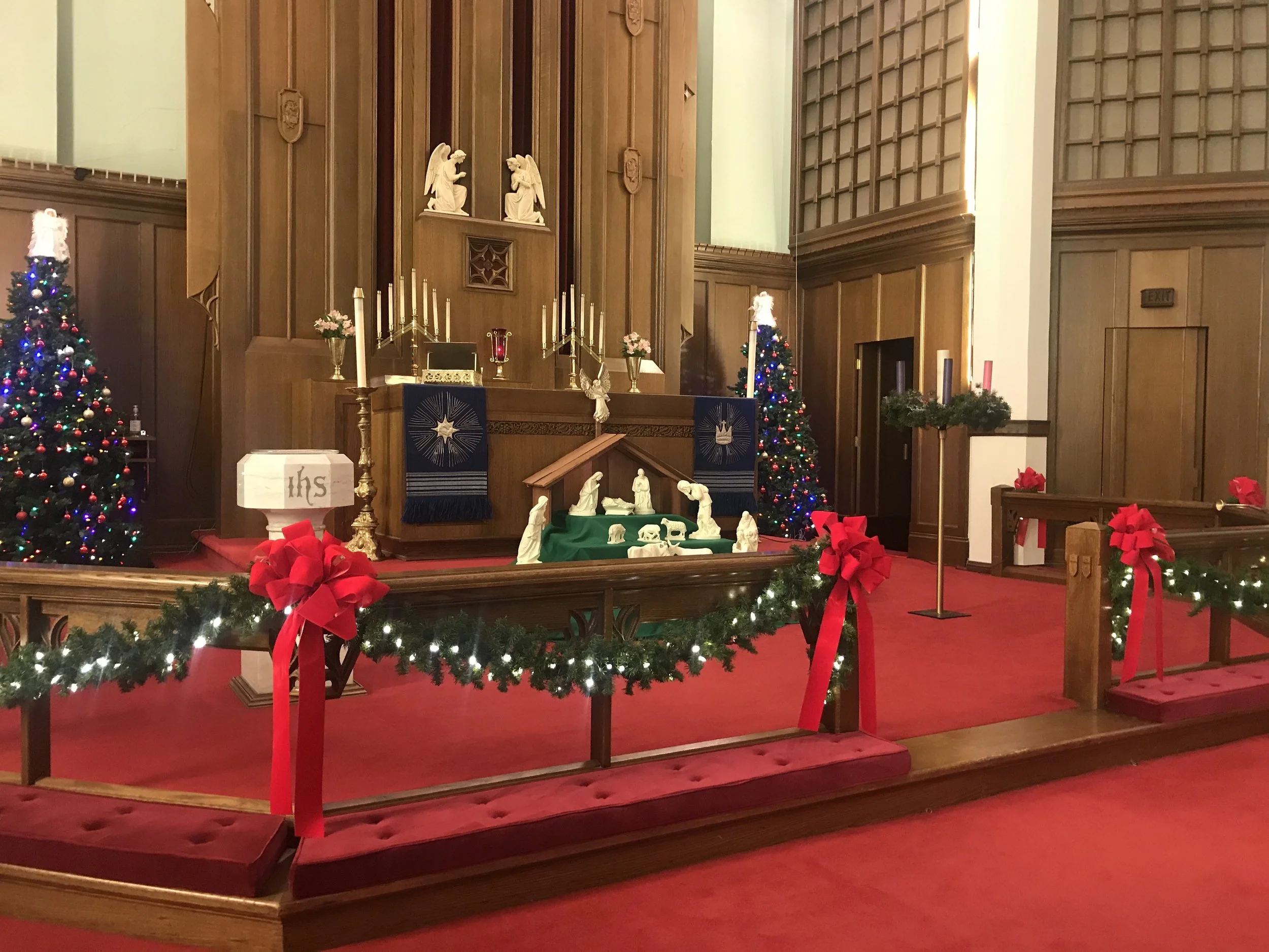 christmas closeup.jpg