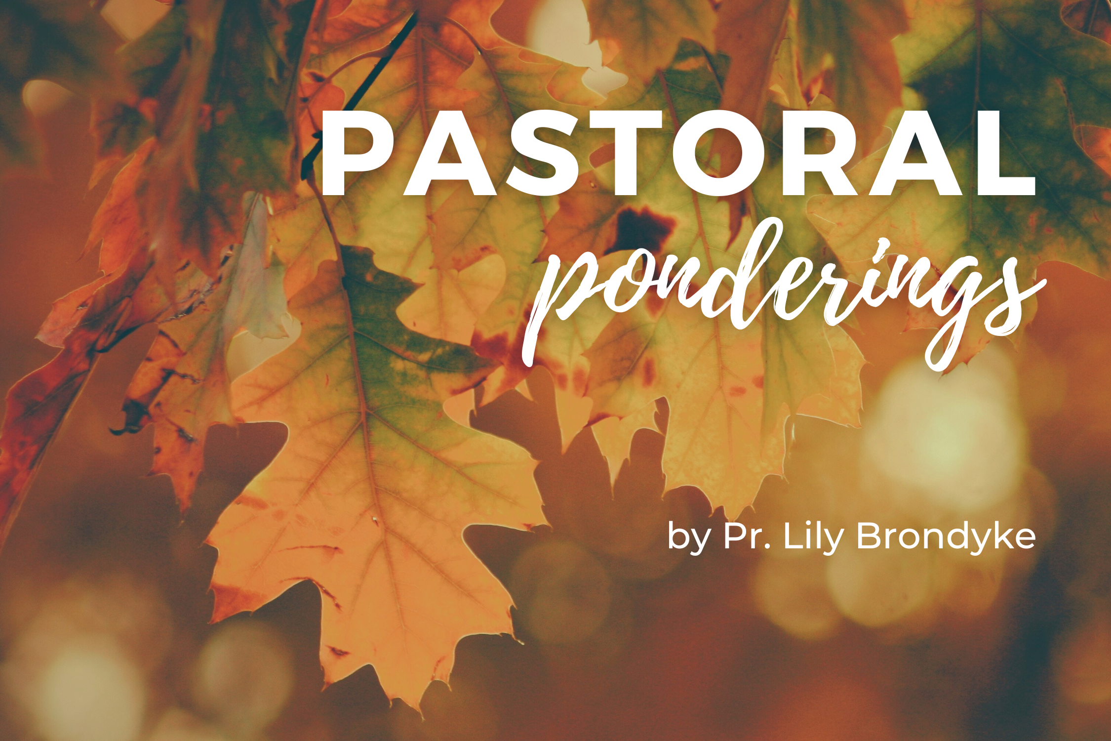 Why the Reformation? What Does It Mean for Us Today?