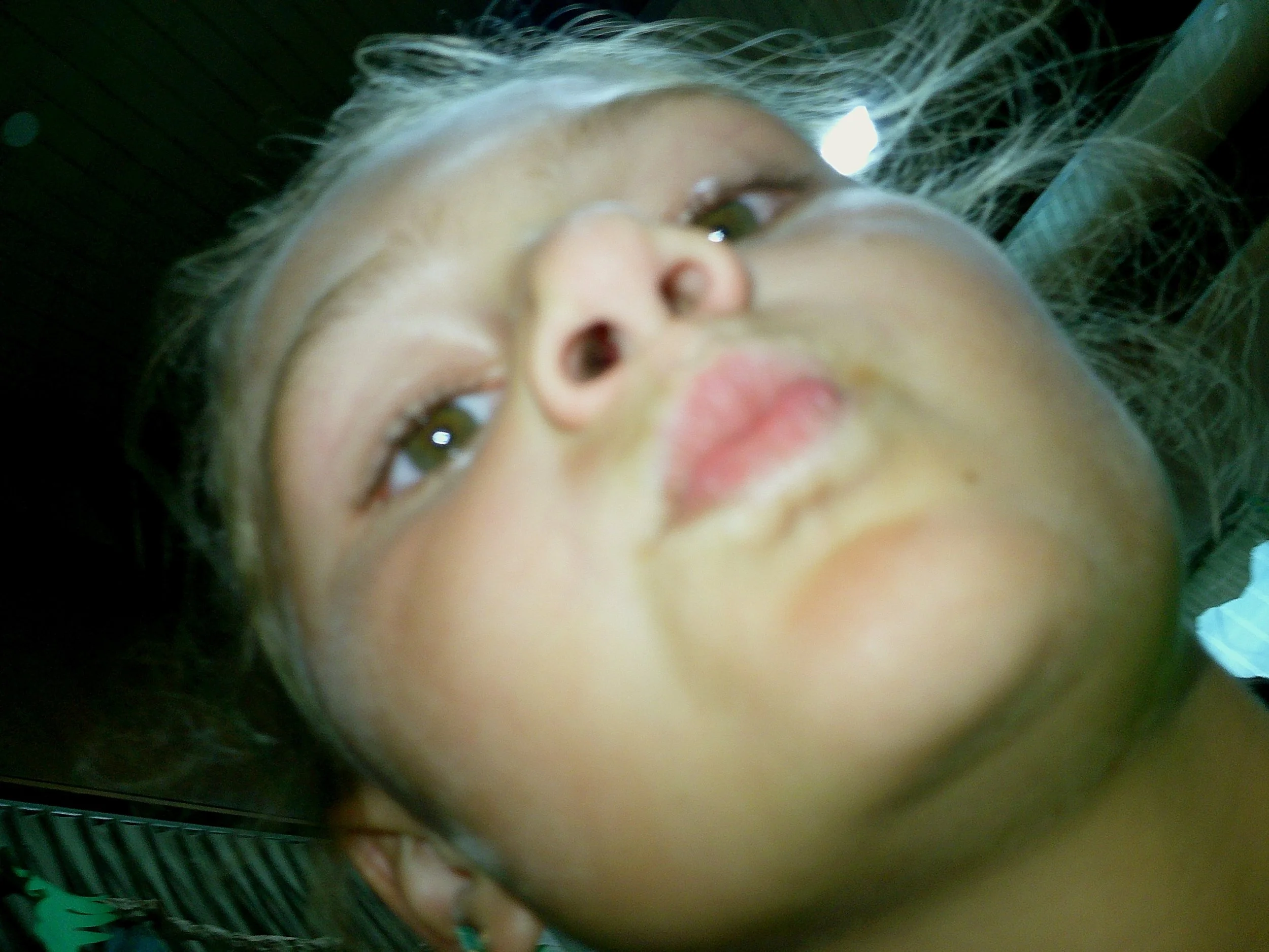 DSCF0026.jpg
