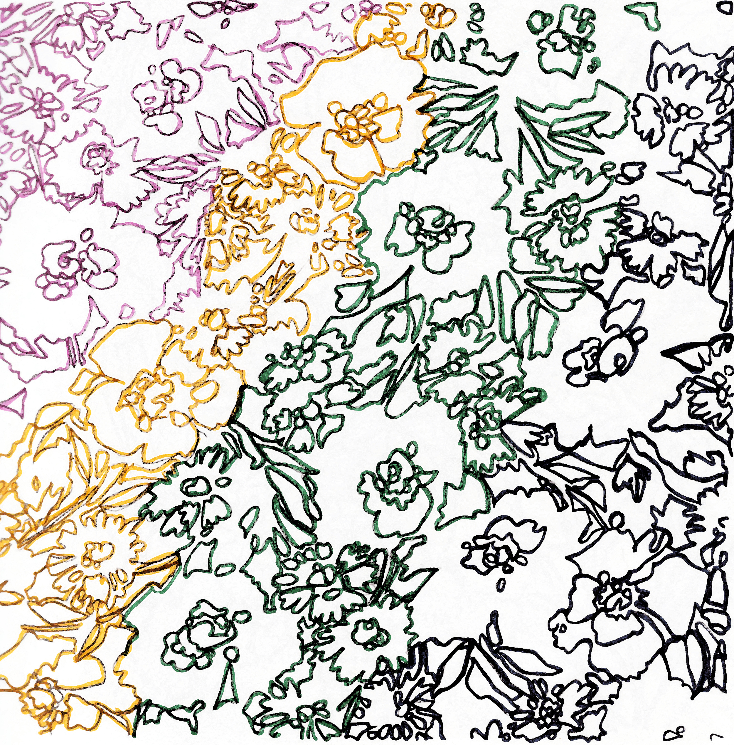 Contour Flowers Light Water Color.jpg