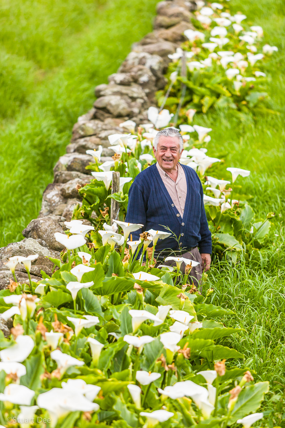  Azores, Portugal 