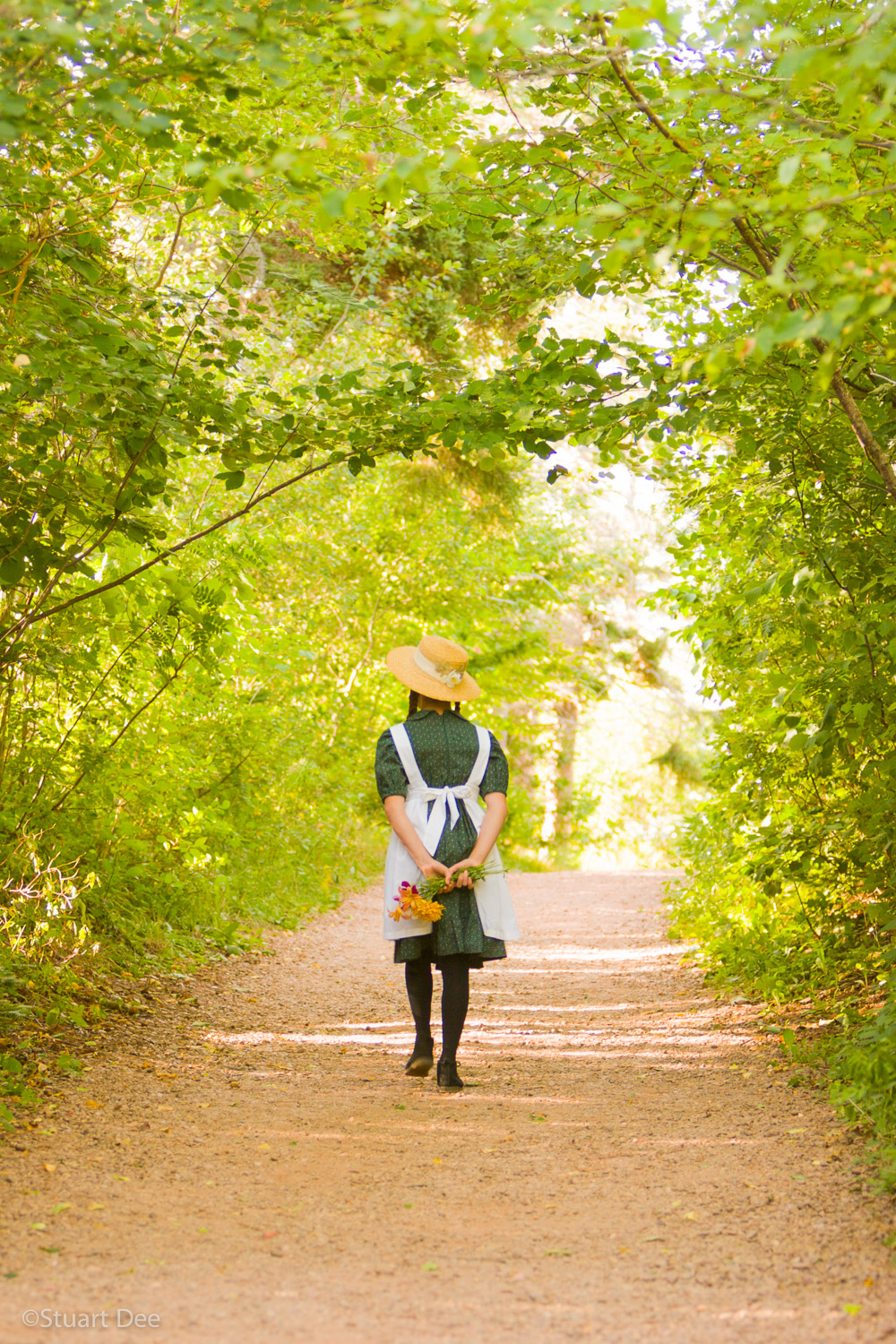  Young girl with hat and braids, "Anne of Green Gables", walking through Lovers' Lane, by the Green Gables home, Cavendish, Prince Edward Island, Canada

Anne of Green Gables is a book written by Canadian author Lucy Maud Montgomery; it was first pub