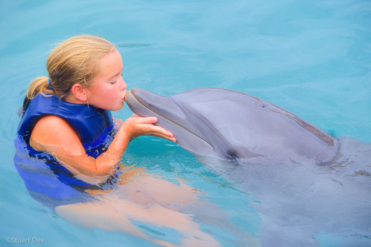 Young girl kissing dolphin, Bermuda